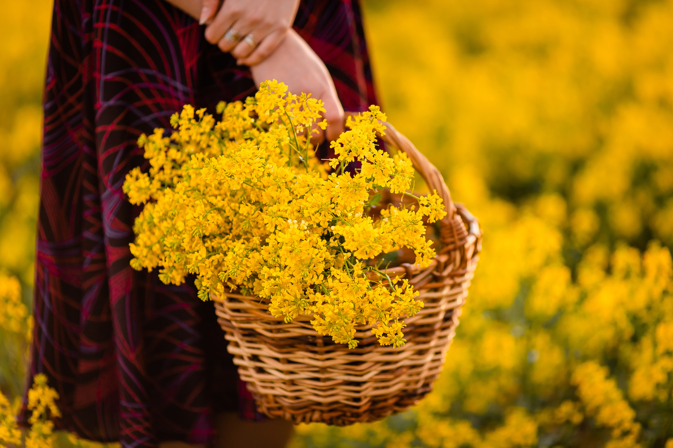 Желтое море. Семейный и свадебный фотограф в Чебоксарах и Новочебоксарске Ирина Юрь