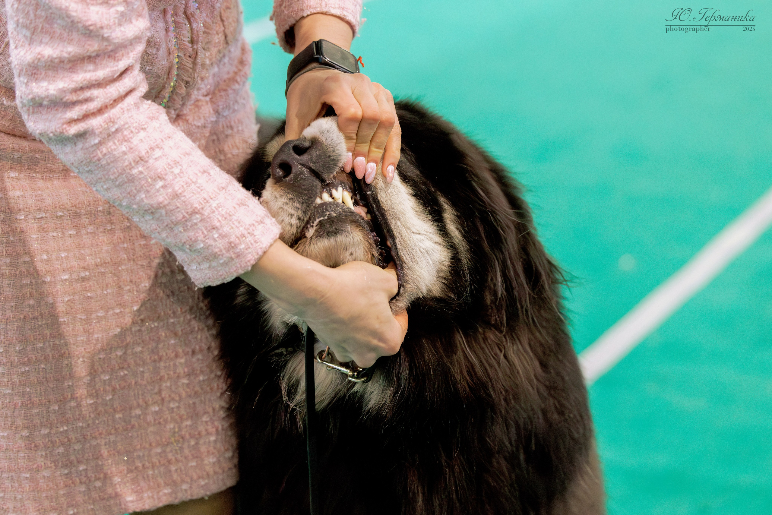 Минск 1-2.03.2025. Фотограф-анималист Юлия Германика