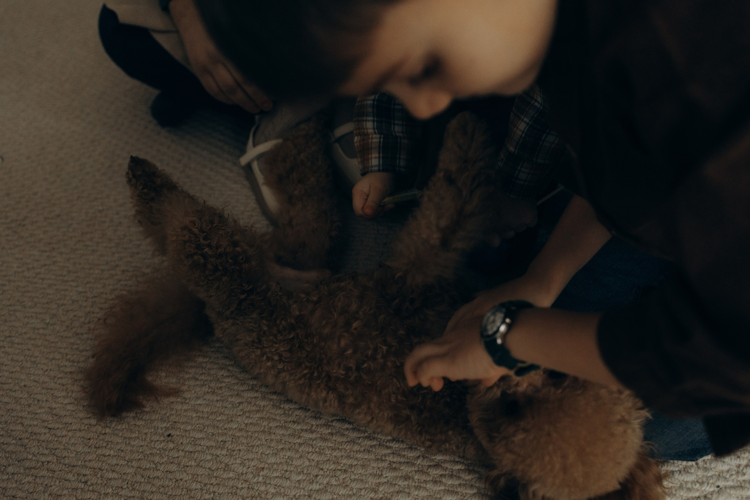 Домашняя история большой семьи. Семейный фотограф Москва Юлиана Фетисова