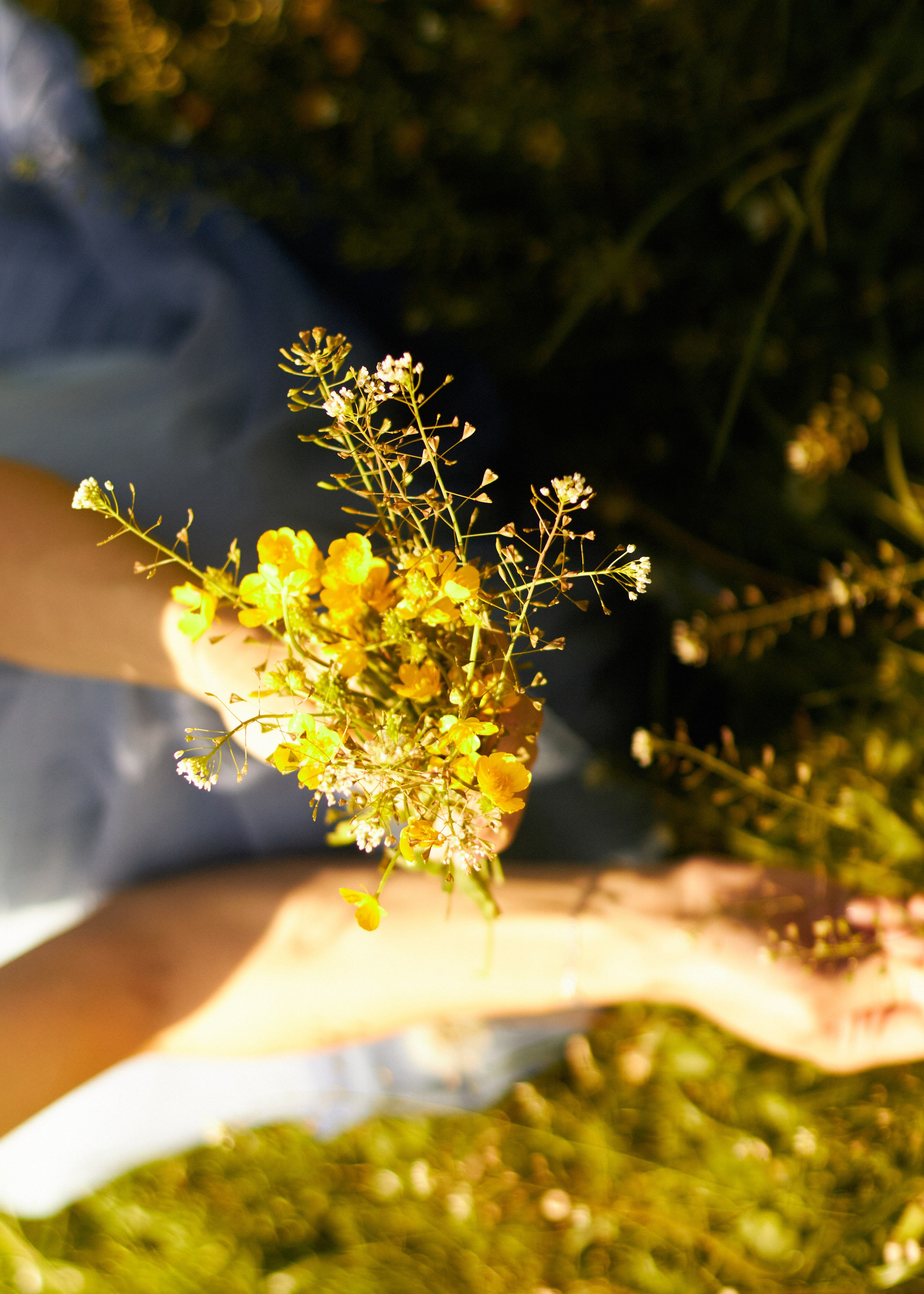 Елизавета. Портретный и свадебный фотограф в Москве Александра