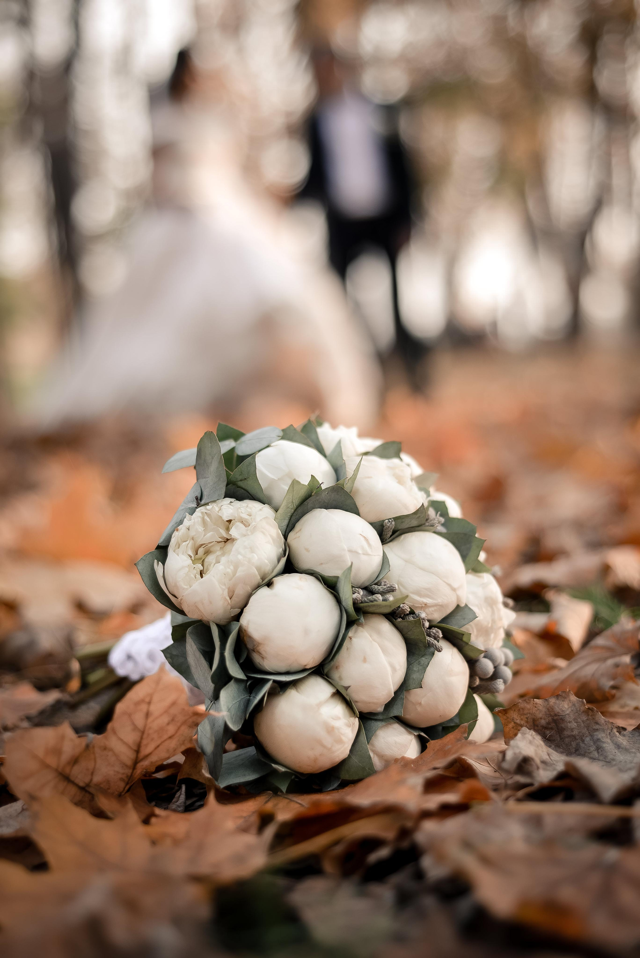 Армянская Свадьба. Фото и видео, свадебная, семейная, индивидуальная, школьная съёмка