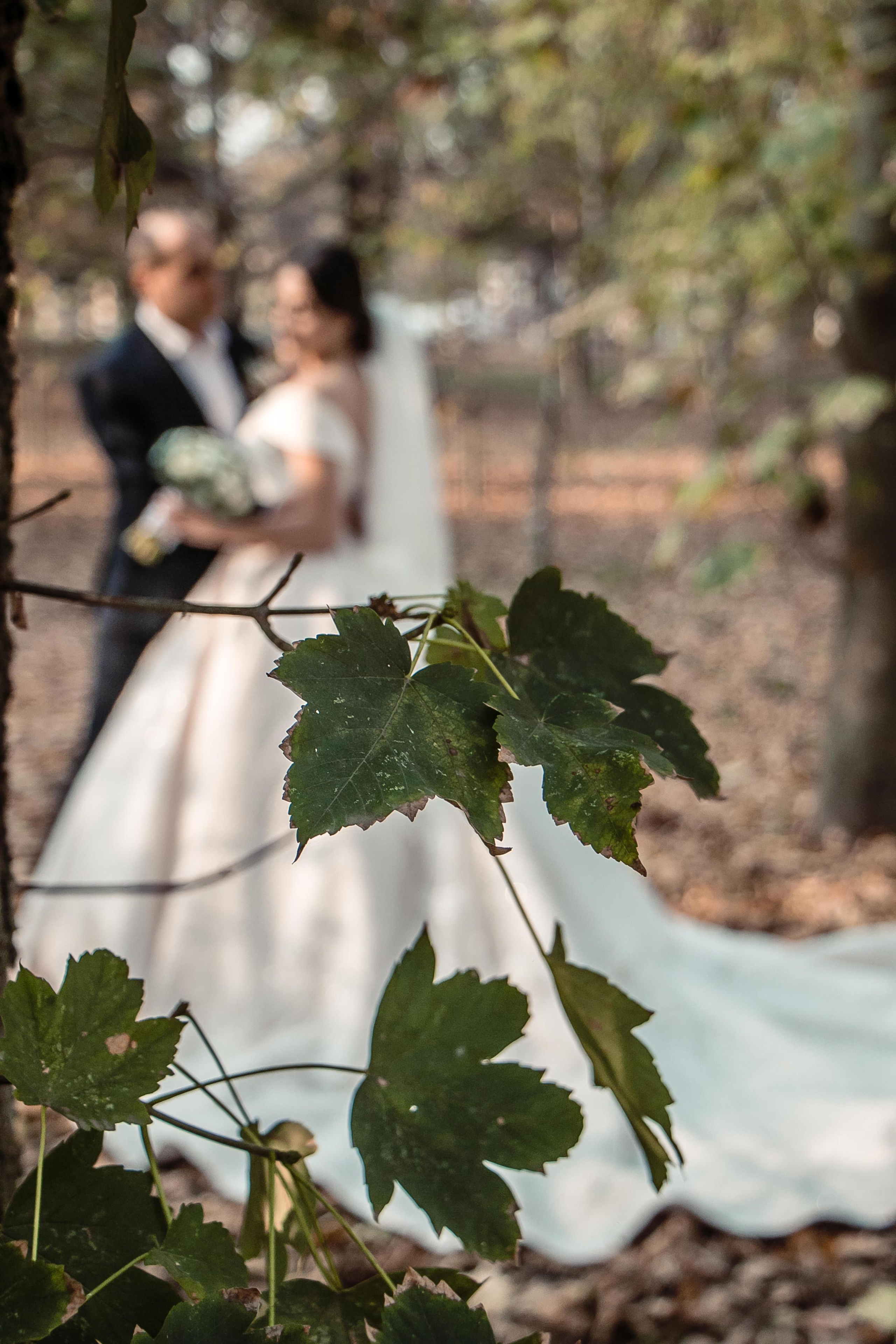 Армянская Свадьба. Фото и видео, свадебная, семейная, индивидуальная, школьная съёмка