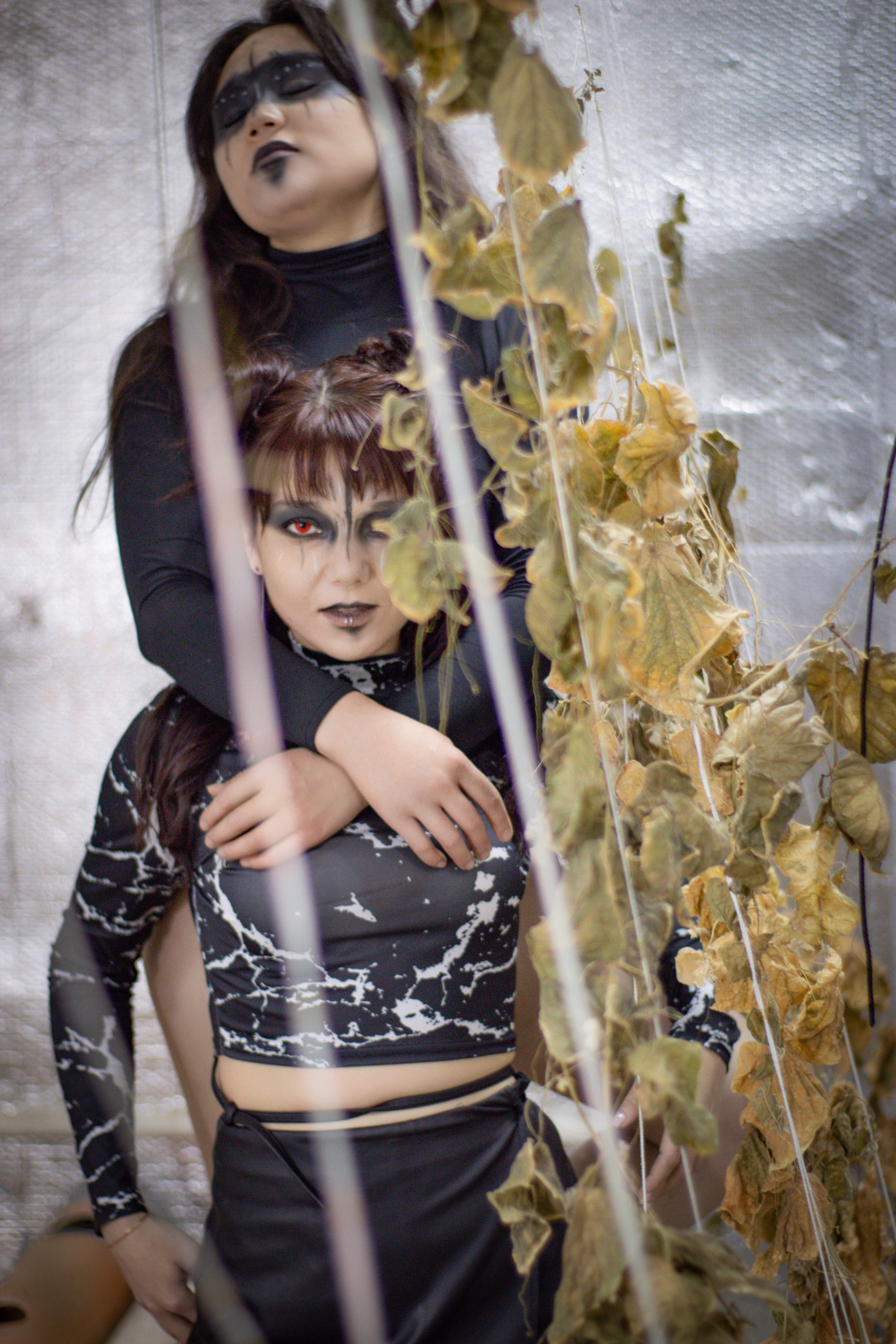 Дружба. Фотограф в Южно-Сахалинске Гусаков Евгений