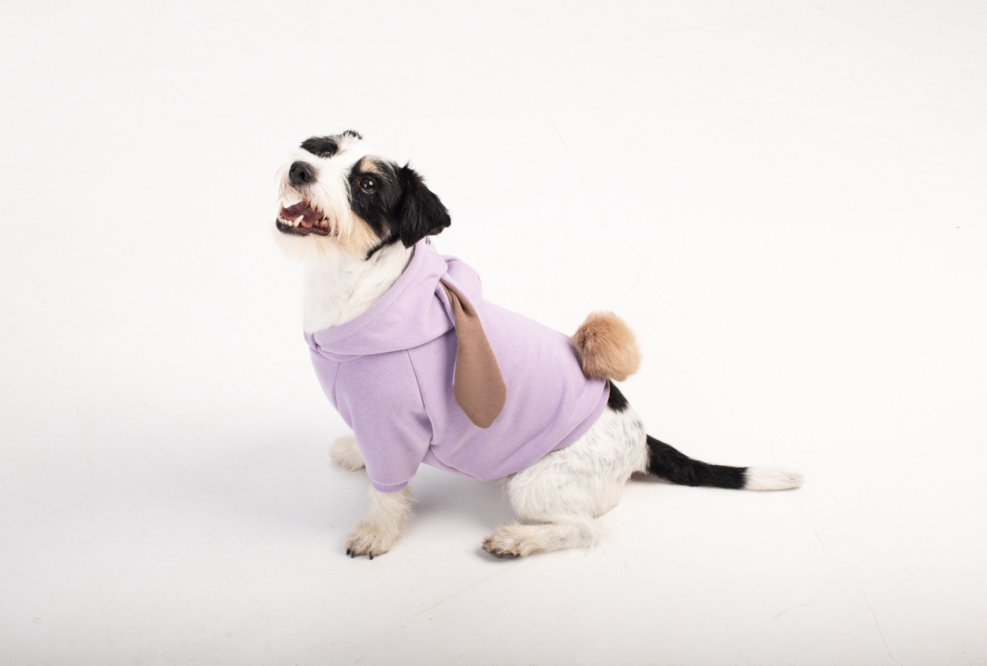 Съёмка бренда одежды для собак. Репортажный, промышленный и маркетплейс-фотограф Дмитрий Чернат