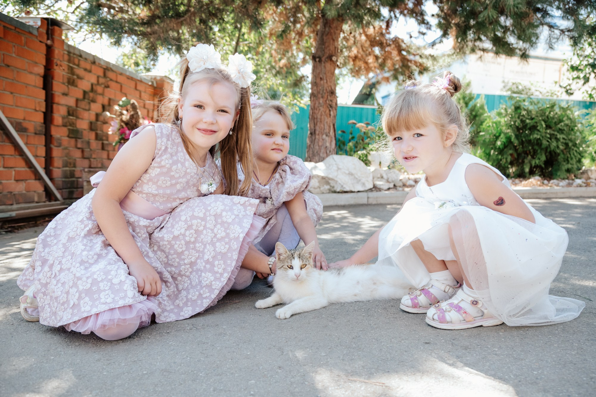 Свадьба в Лабинске 7.09.2024. Репортажный, промышленный и маркетплейс-фотограф Дмитрий Чернат