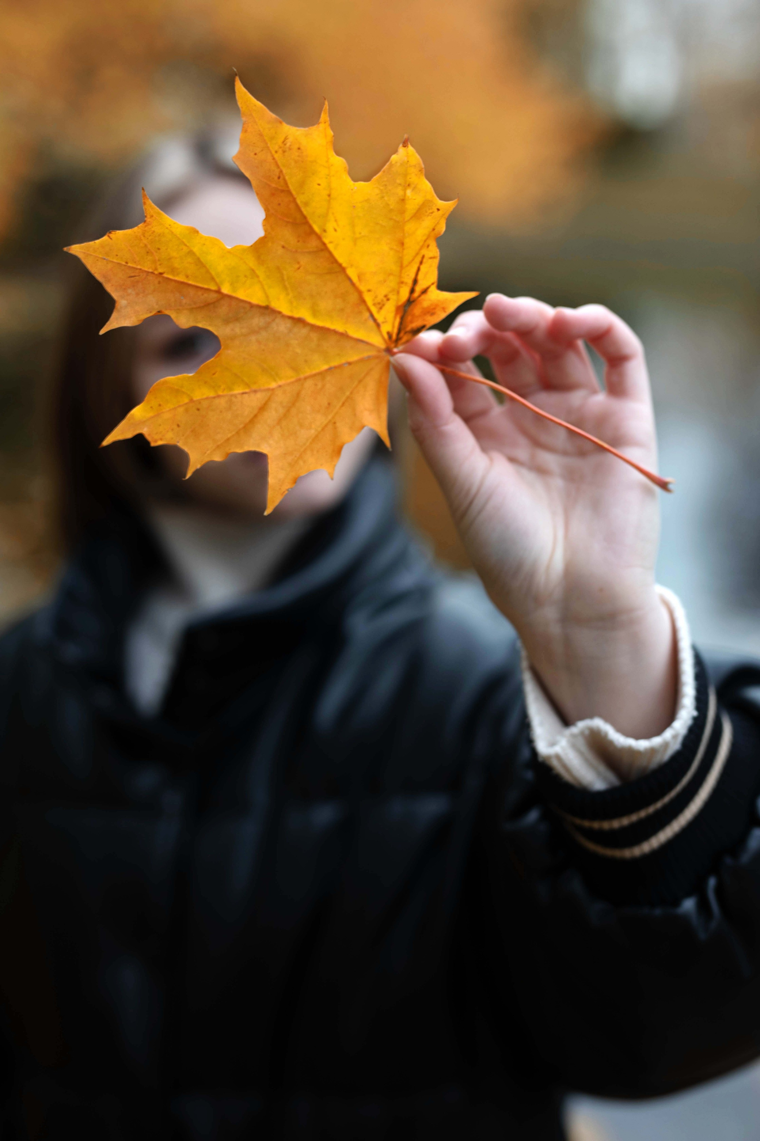 Анастасия. Семейный и детский фотограф в Санкт-Петербург. Natalia Fadel