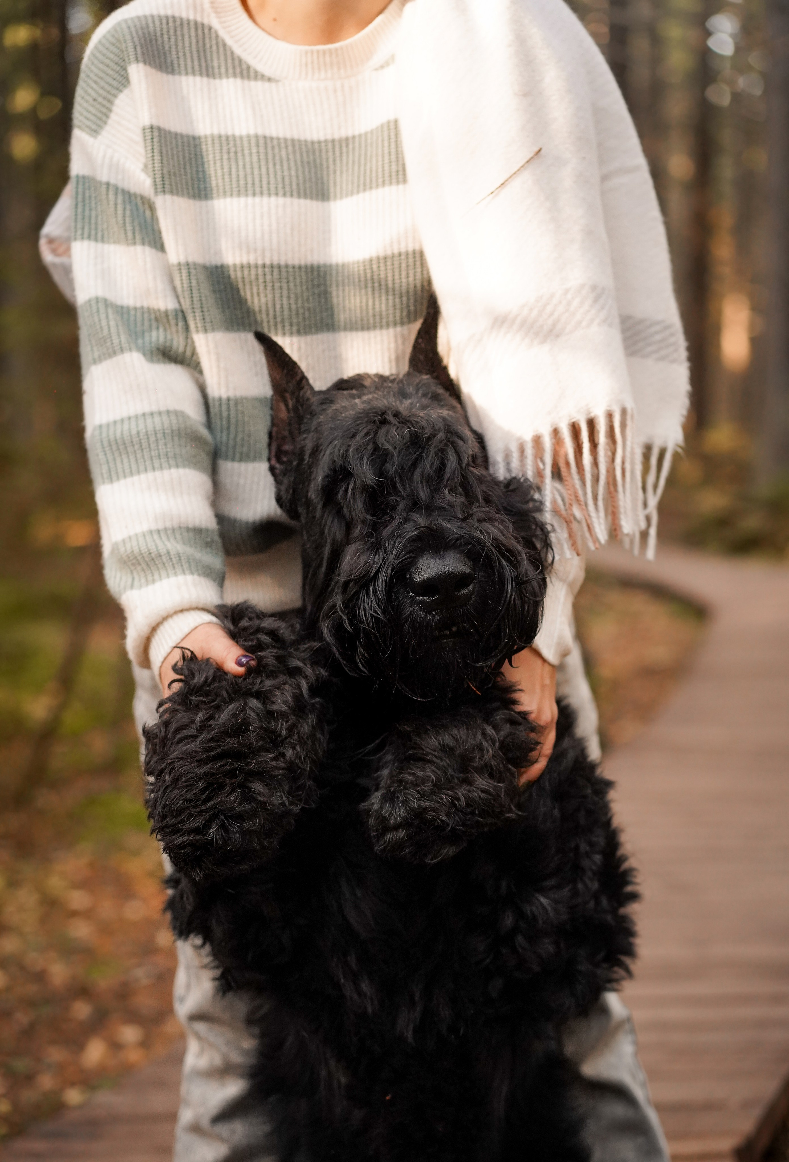 Оля Миша и шнауцеры. Фотограф-анималист в Санкт-Петербурге Яна Мартынова
