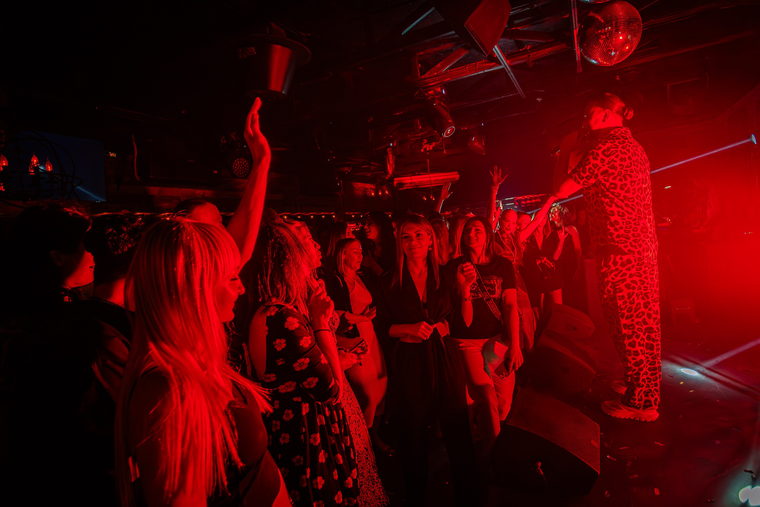 «LIZWI"_Чайка на пляже_Ялта_7.06.2025. Аминов Руслан | Фотограф