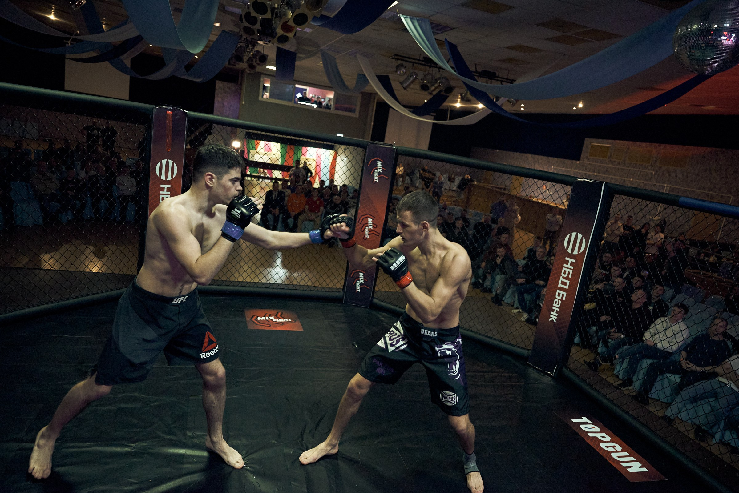 Бои. Маляревич Дмитрий свадебный фотограф