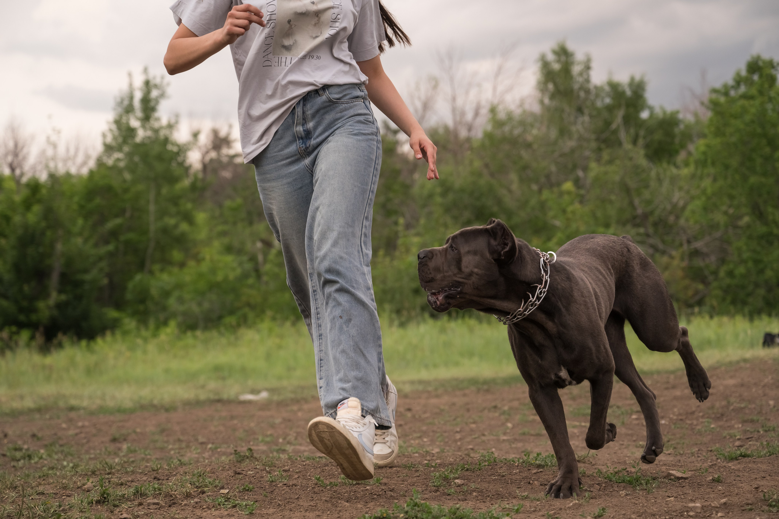 Дина, Яна и Лео. Фотограф Саратов Юлия Петрова