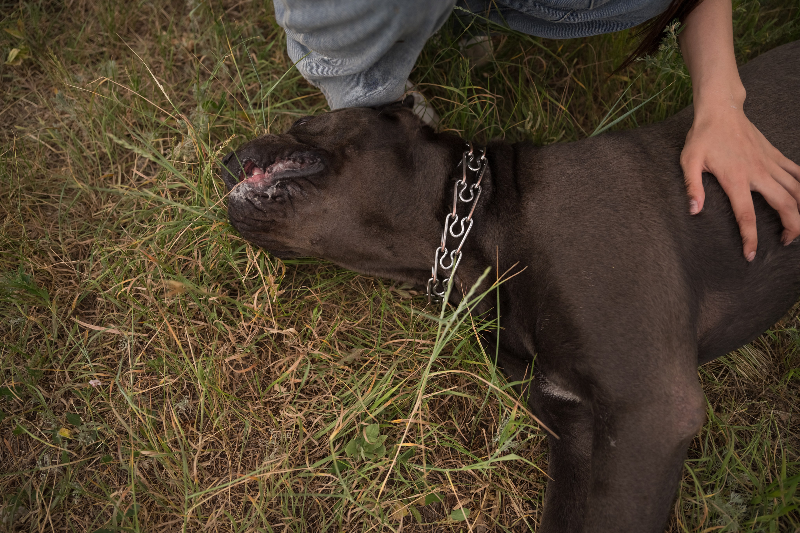 Дина, Яна и Лео. Фотограф Саратов Юлия Петрова