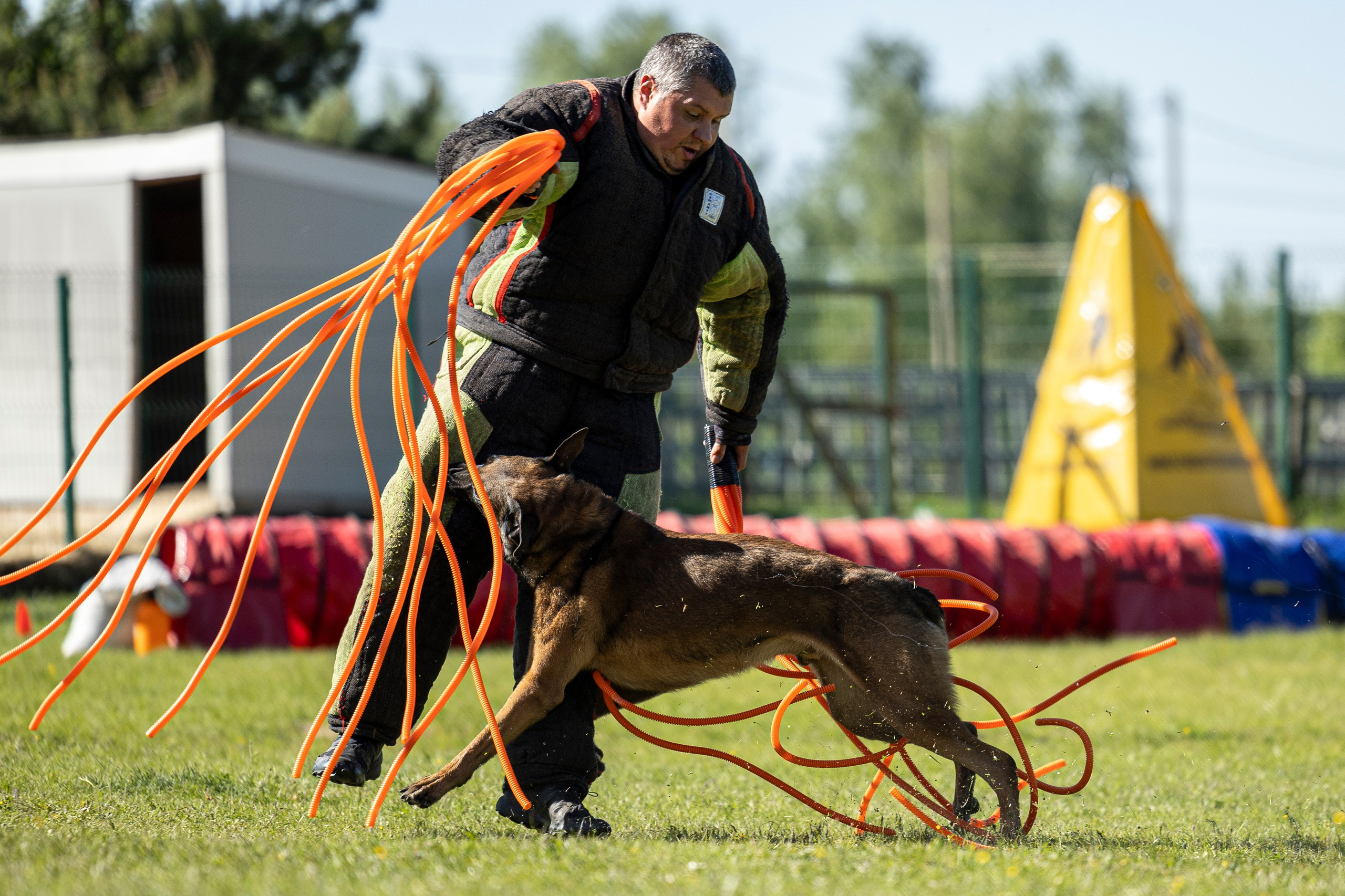 Испытания по мондьорингу в Нижнем Новгороде. Фотограф-анималист Анна Маринич