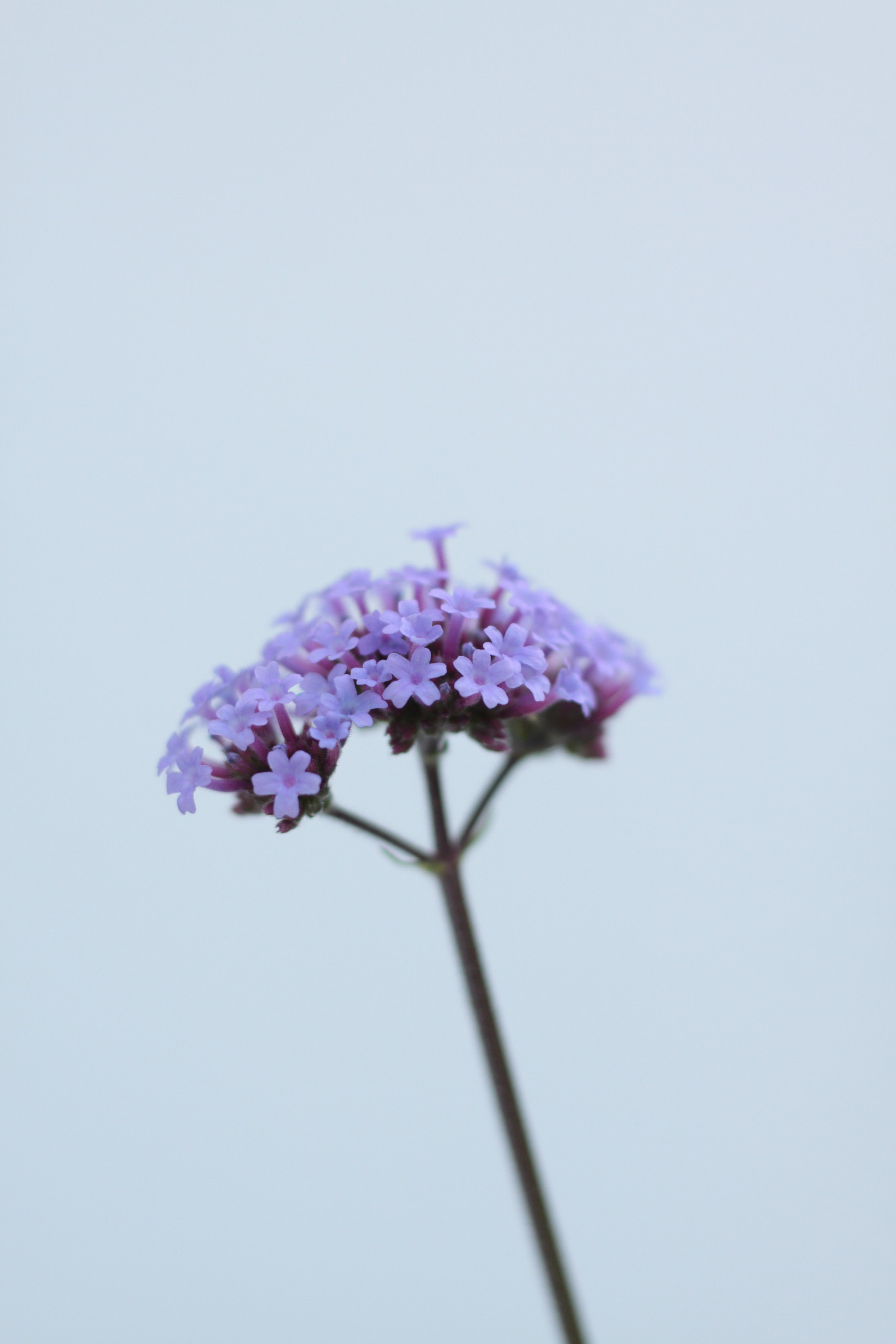 Старое природное, отбирала Katamount (Катерина Горохова). Главная