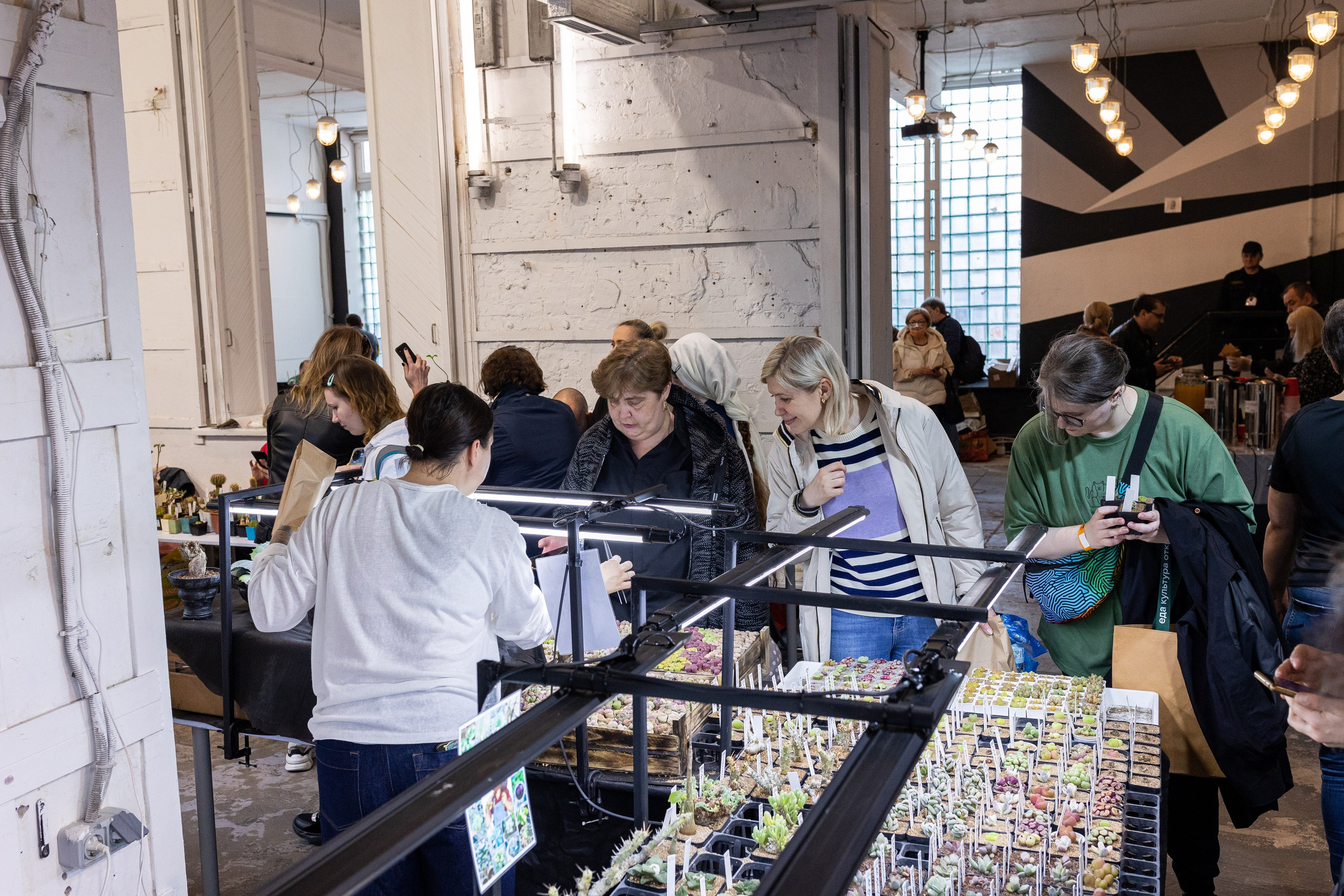 Meza market 2024. Александра Куликова фотограф, Москва