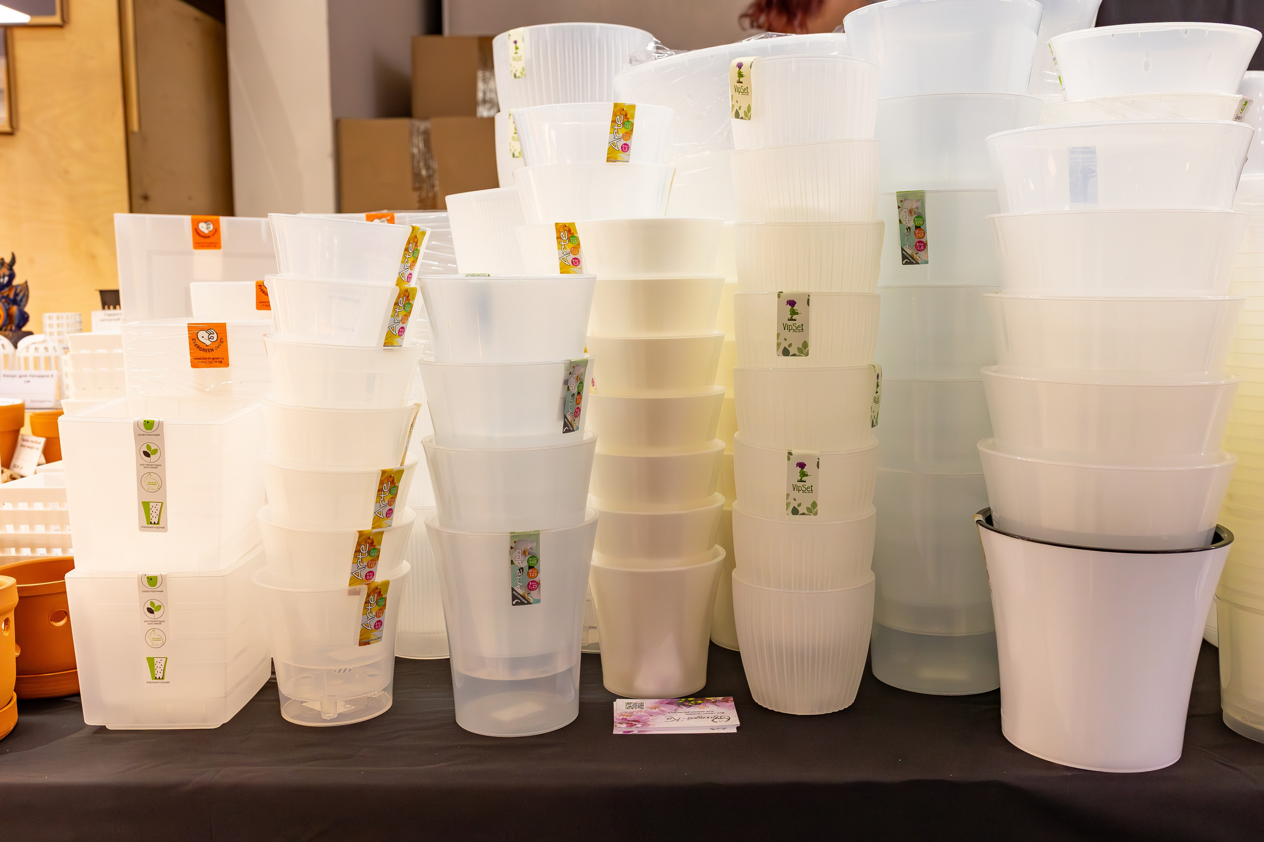 Орхидиум сентябрь 2025. Александра Куликова фотограф, Москва