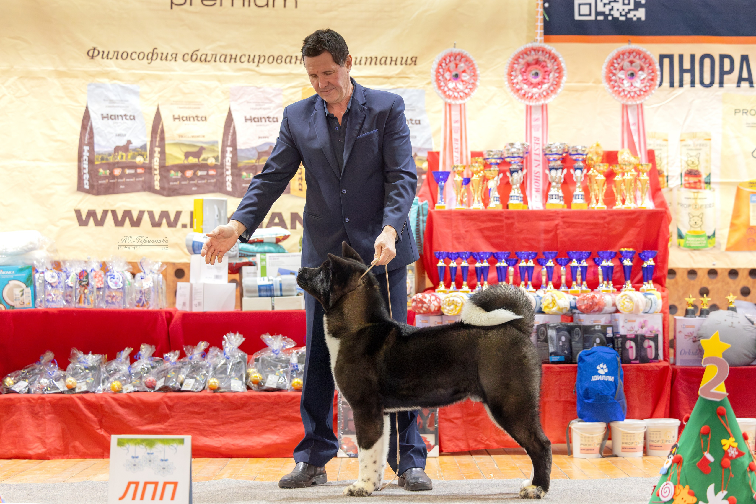 Тверь 21.12.2025. Фотограф-анималист Юлия Германика