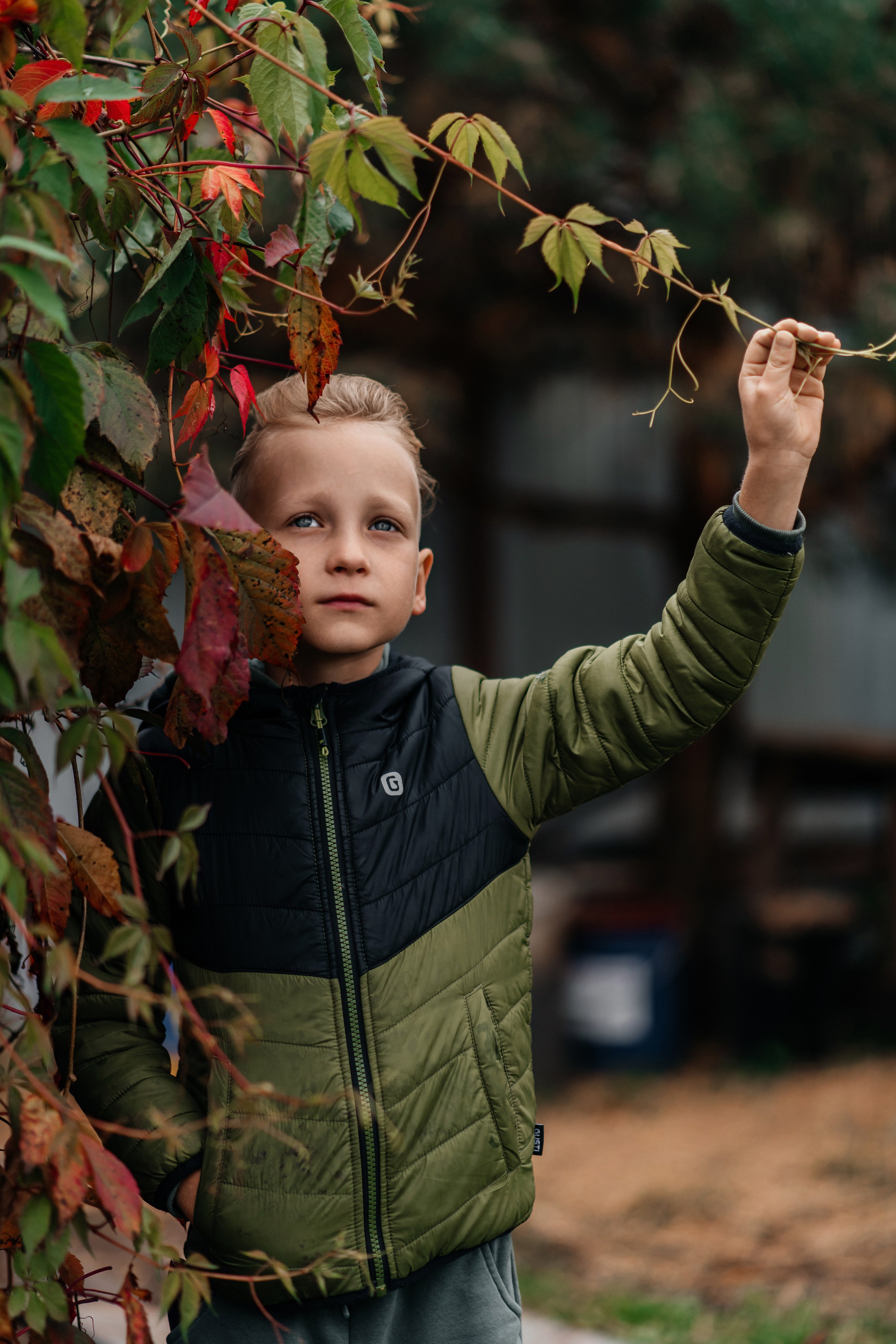 Осень. Фотограф в Москве/Зарайске Шахова Марина