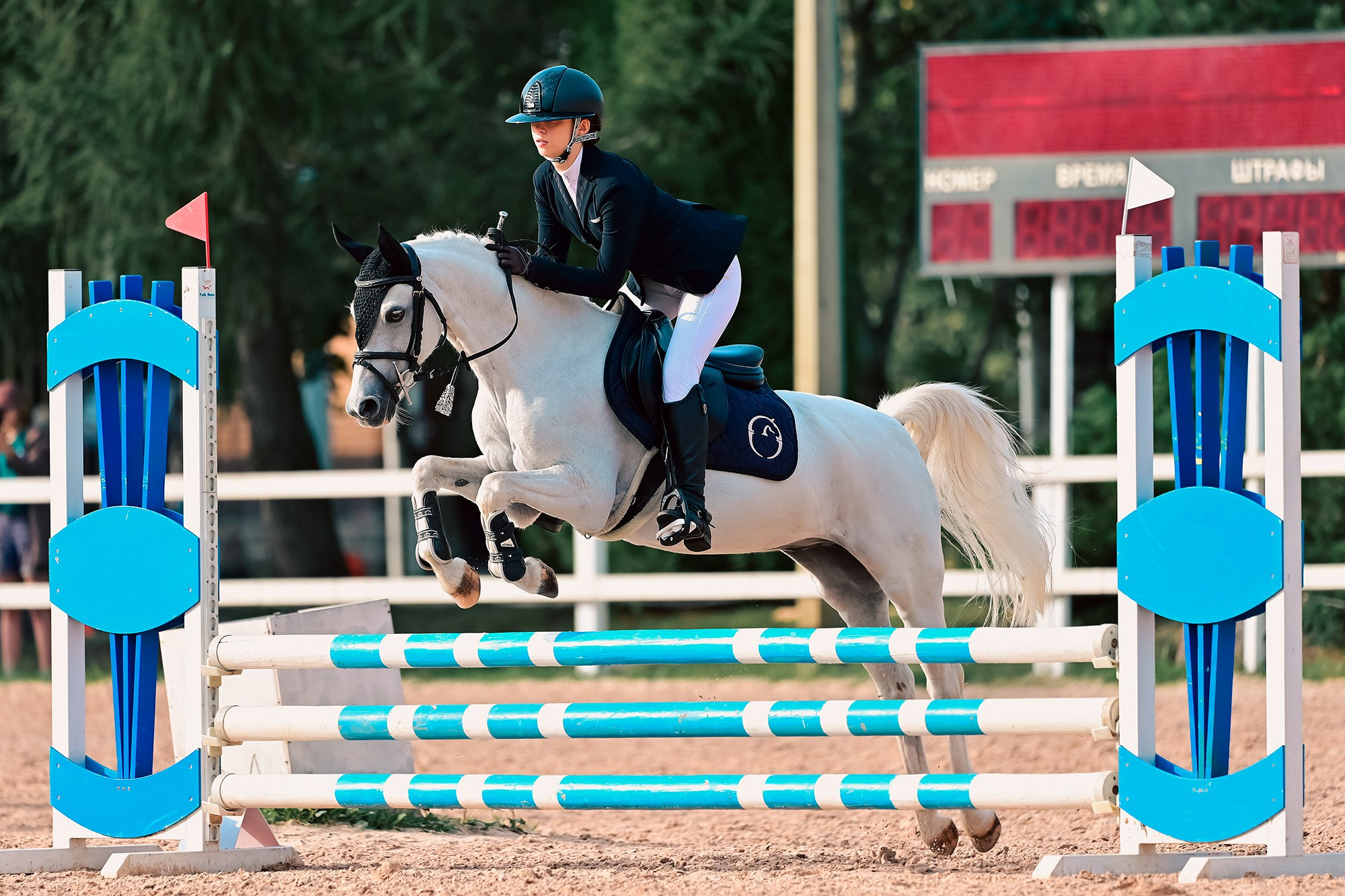 Конкур. Конный фотограф Alesya Safe