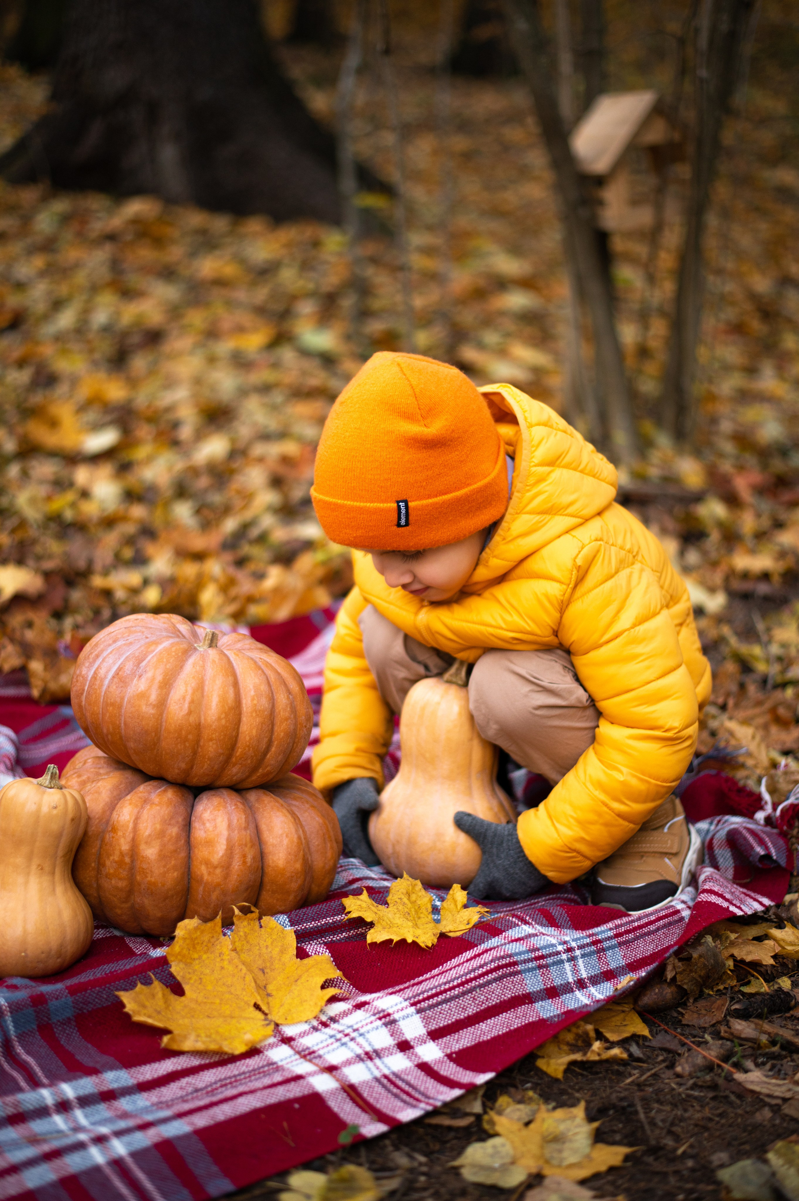 Осень в Шуваловском парке. Фотограф Санкт-Петербург | Дарья Першина