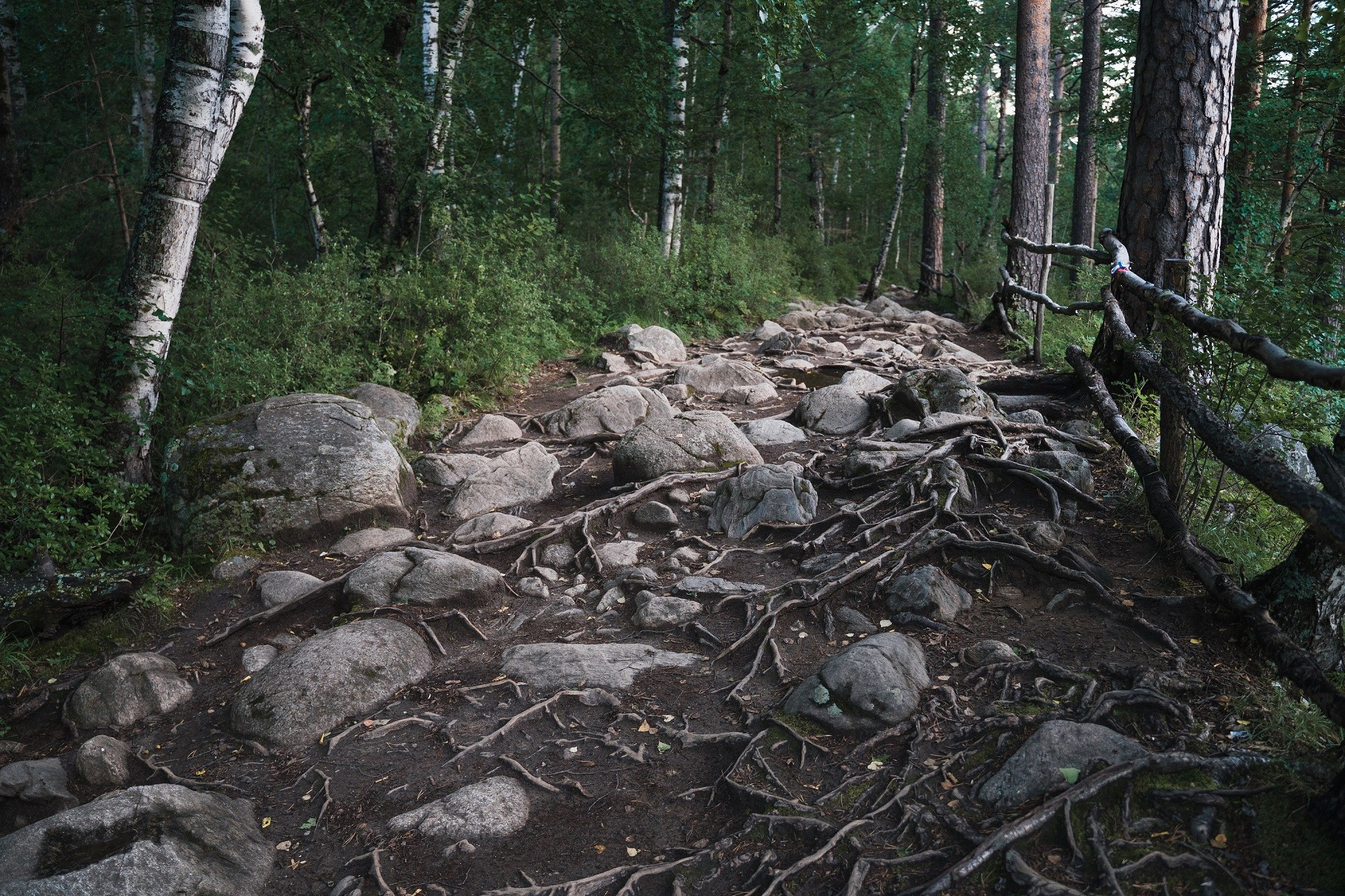 Байкал. ББТ, Ольхон и Аршан. Фотограф в поход и восхождение на Эльбрус Игорь Косарев