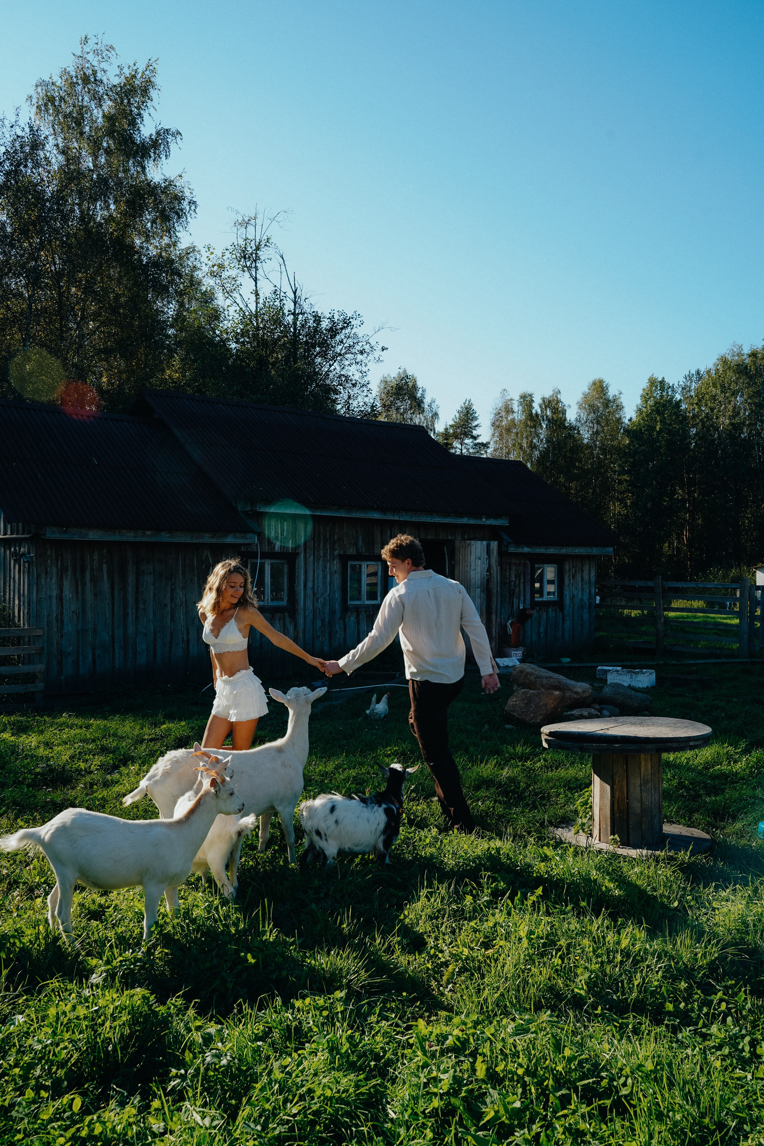 Свадьба на ферме