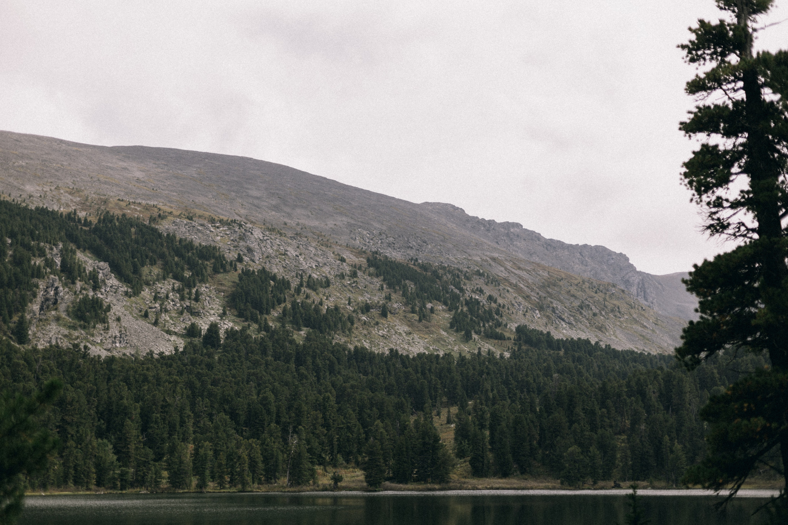 Алтай, природа и эстетика. Александр Чернин. Семейный и событийный фотограф