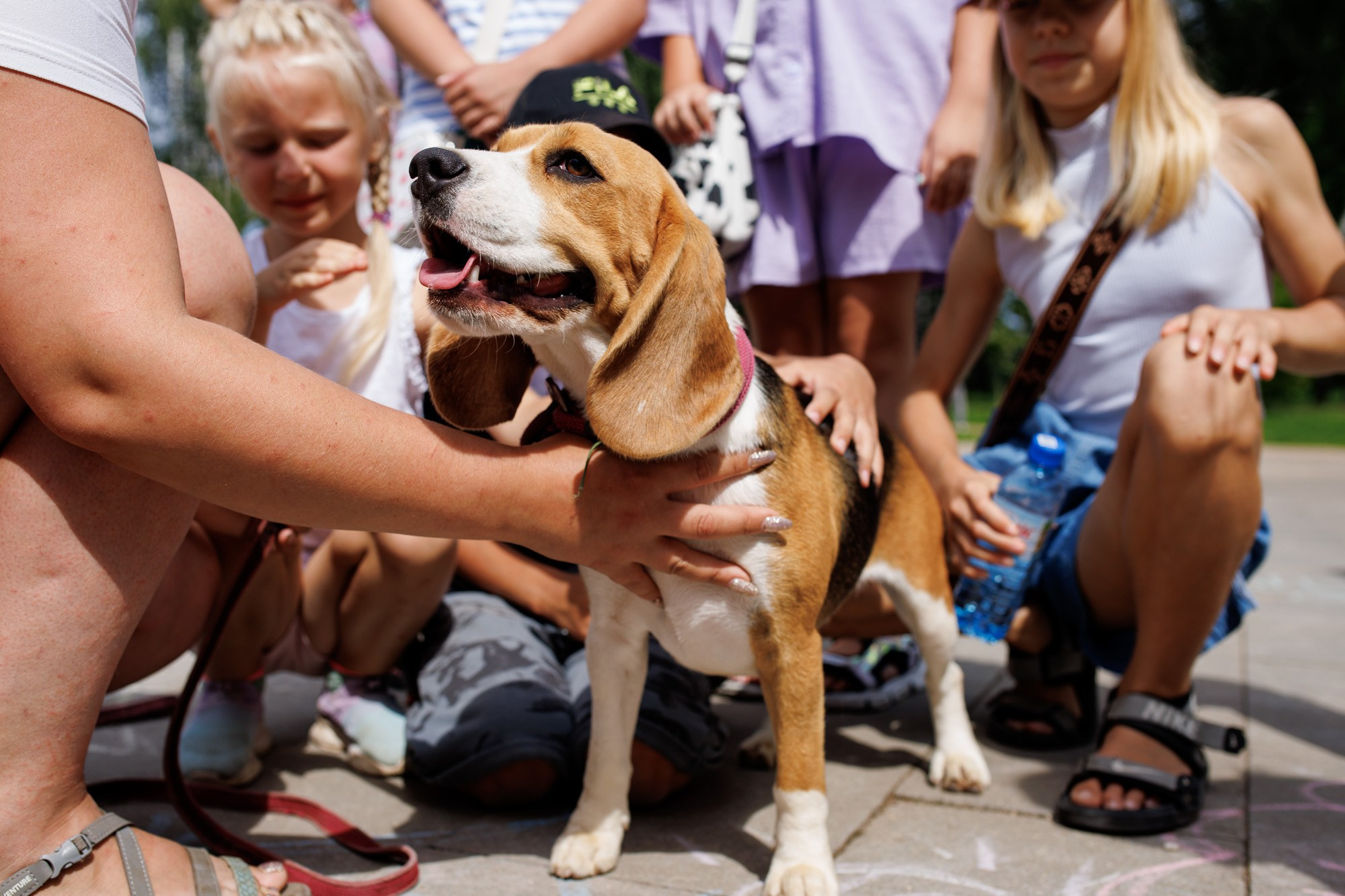 Соловьиное лето 2024. Спортивный фотограф Вадим Добедченков