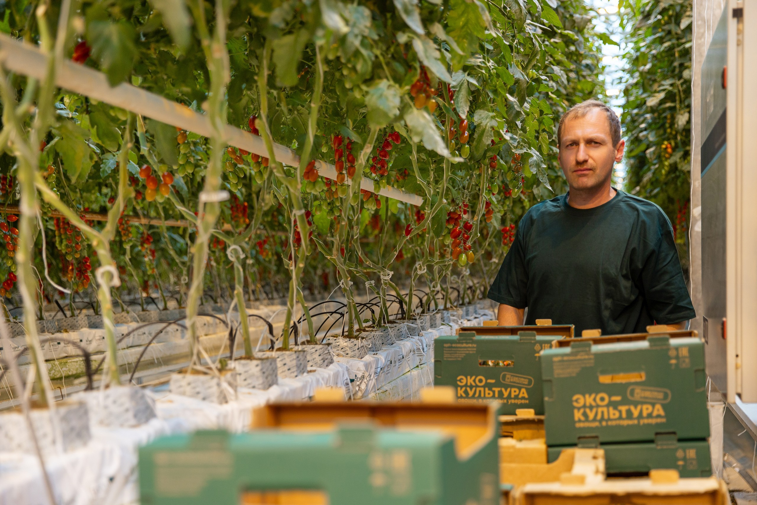 Производство. Фотограф Николай Петрушкин | Ставрополь, Москва