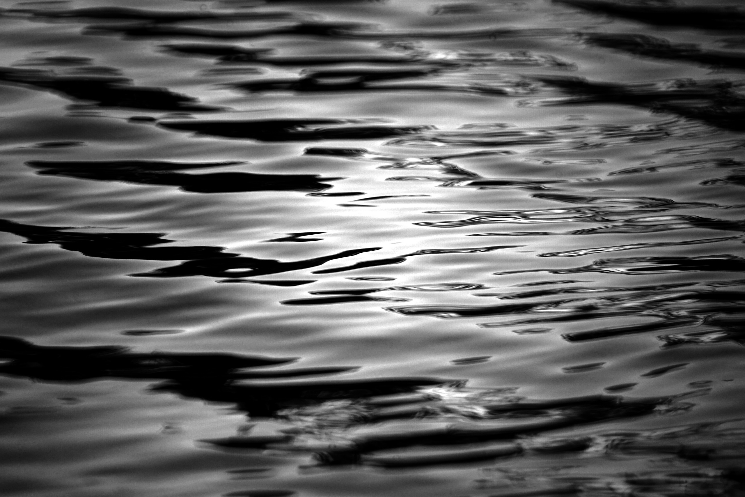 ЧЕРНО-БЕЛЫЕ ФОТОГРАФИИ. Никита Аничкин фото и видео оператор из России