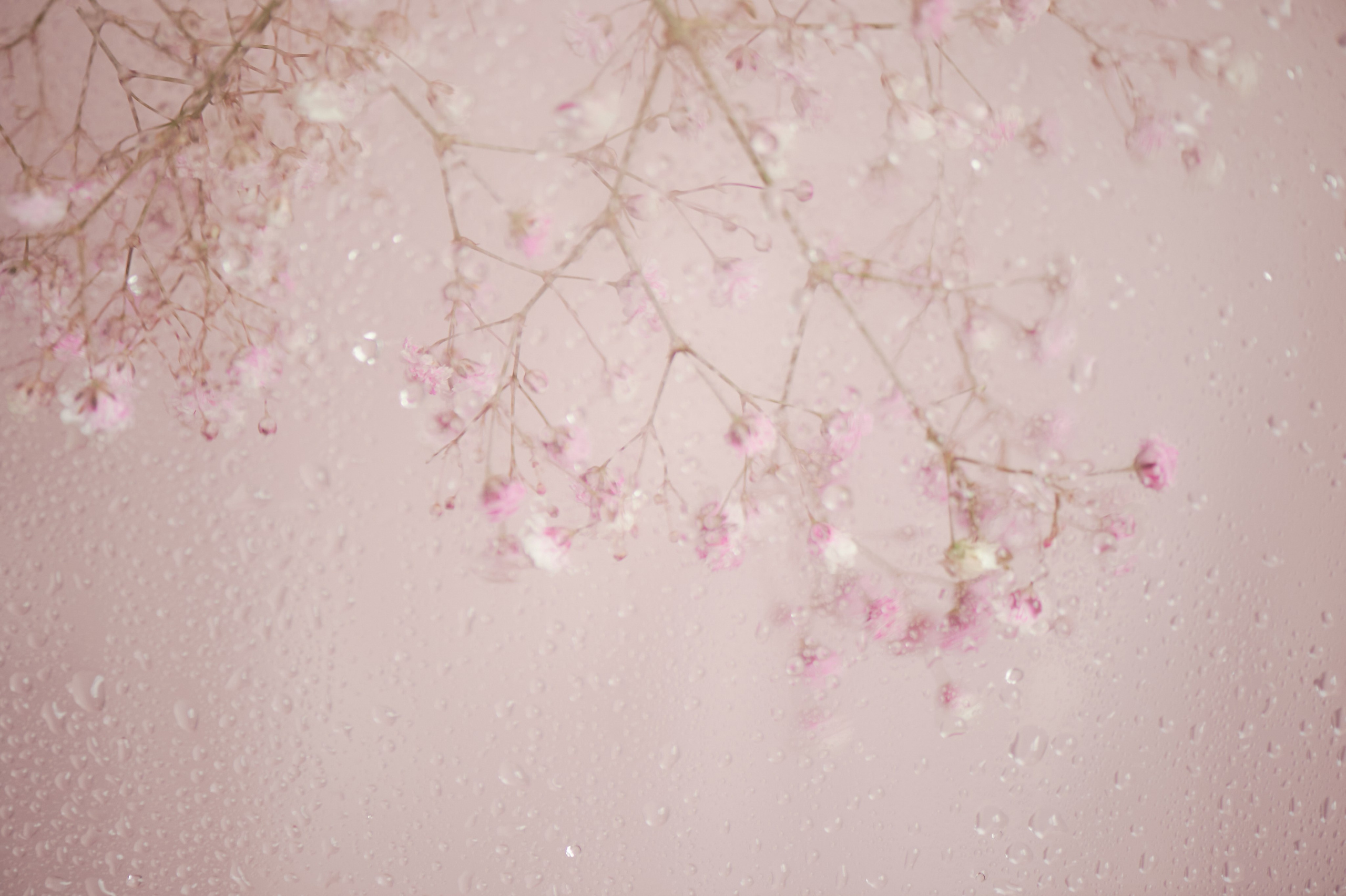 Нежный портрет. Фотограф, психолог в Москве, Жуковском, Раменском Галина Майлер