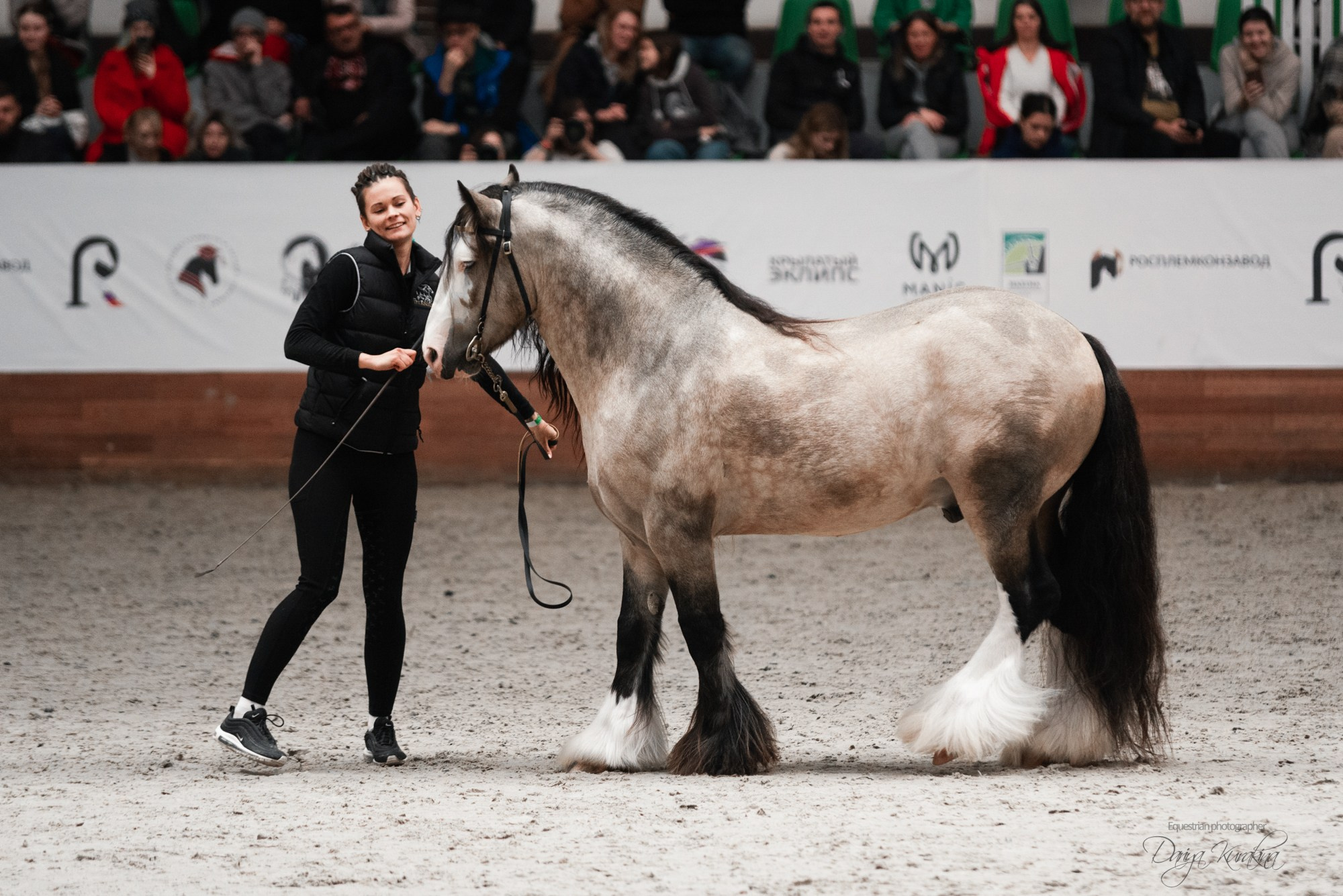 8-я международная выставка Конная Россия. Конный фотограф Куракина Дарья • Фотосессии с лошадьми
