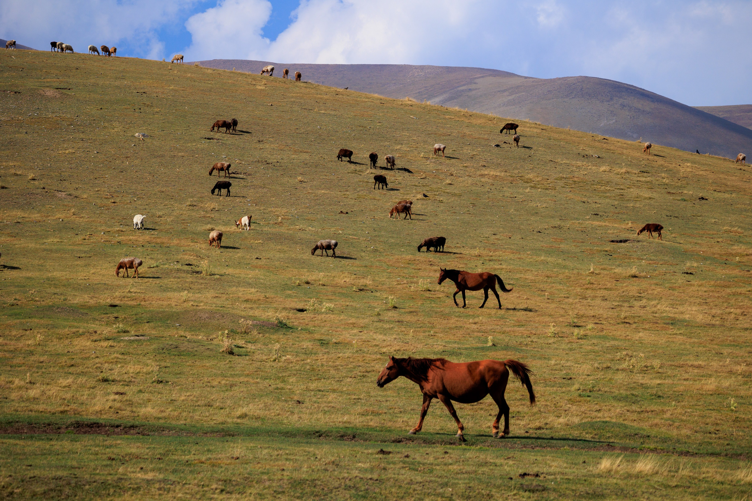 Плато Ассы, озеро Иссык и водопад: комфорт-маршрут, джипы, мини-группа. Экскурсии и туры по Алматы