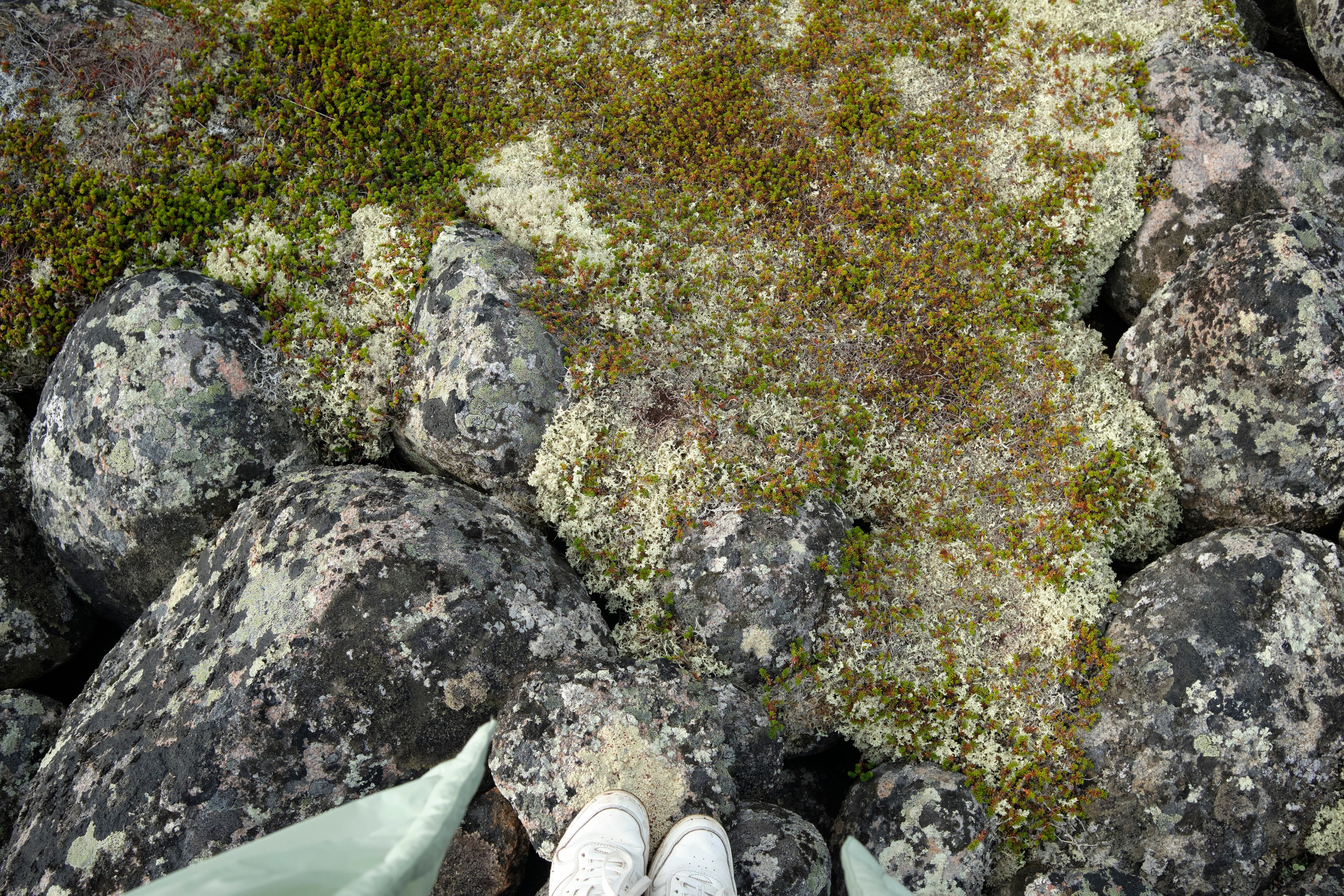 Путешествие в Териберку. Елена Павленко. Фотограф. Москва