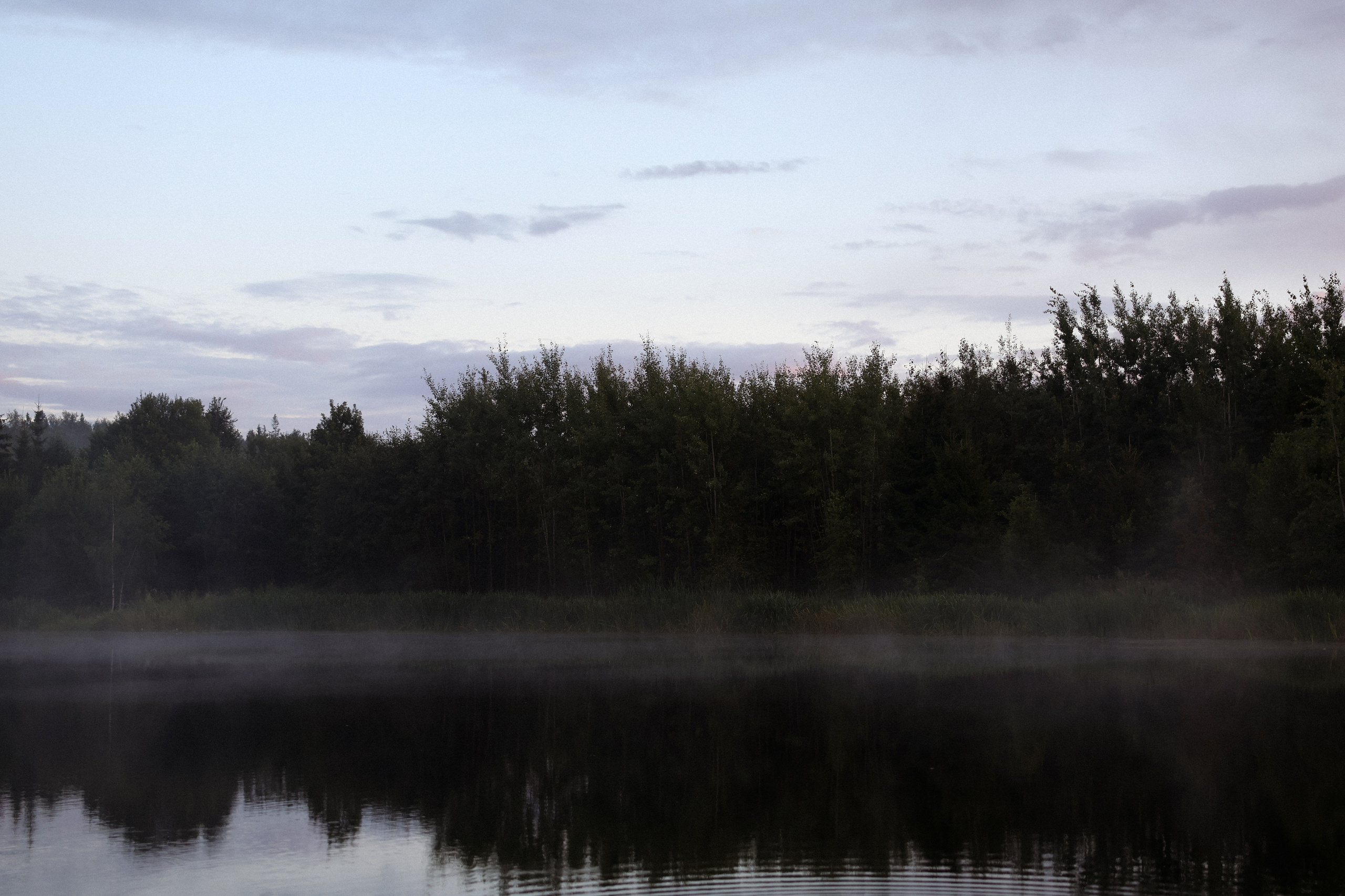 «Магия выставленного света» — Анна и Милан. Свадебный и семейный фотограф в Москве Ломова Ирина