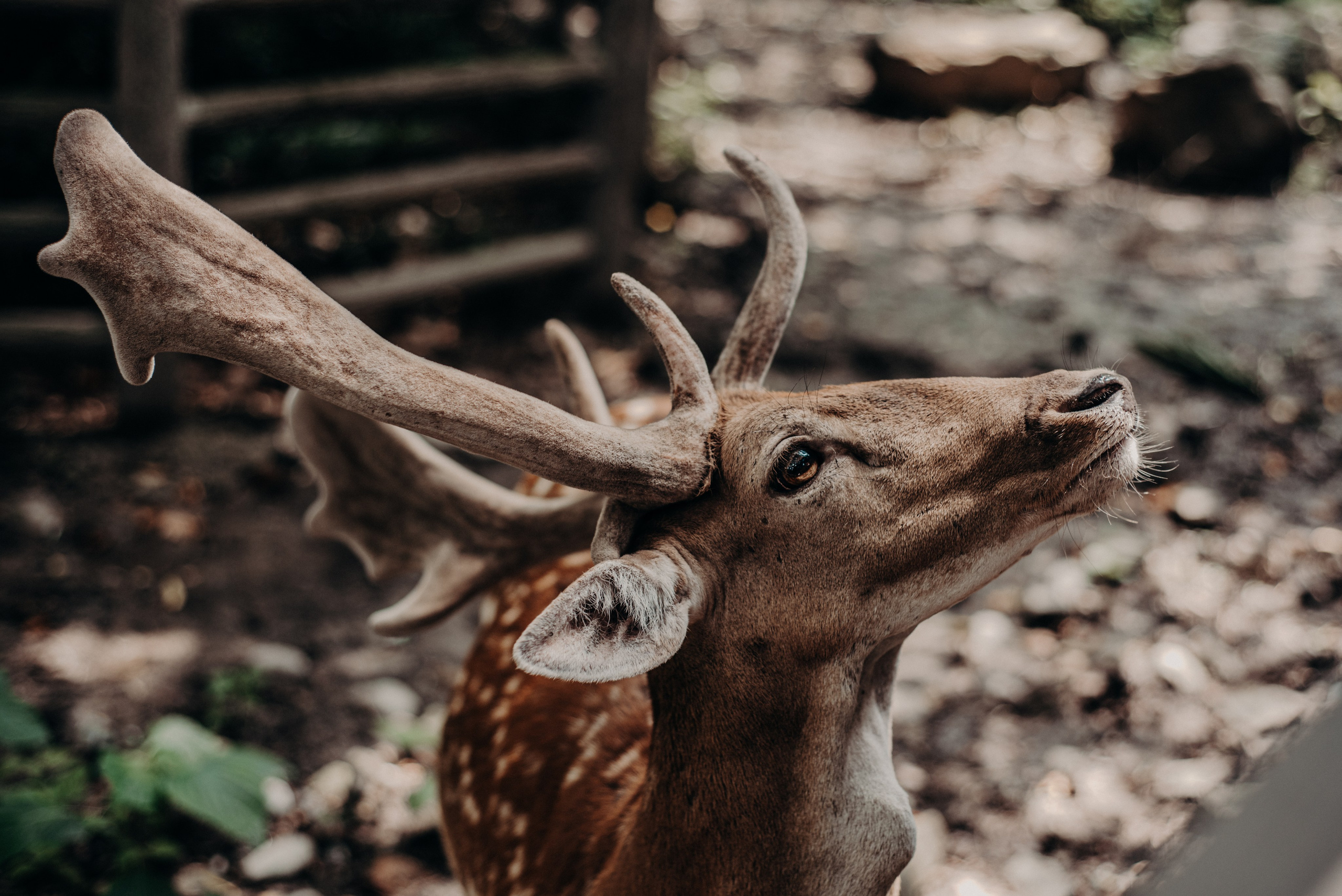 Рекламный фотограф из Гуанчжоу: вдохновение в улицах Шанхая. Коммерческий и предметный фотограф в Гуанчжоу Коваленко Александр