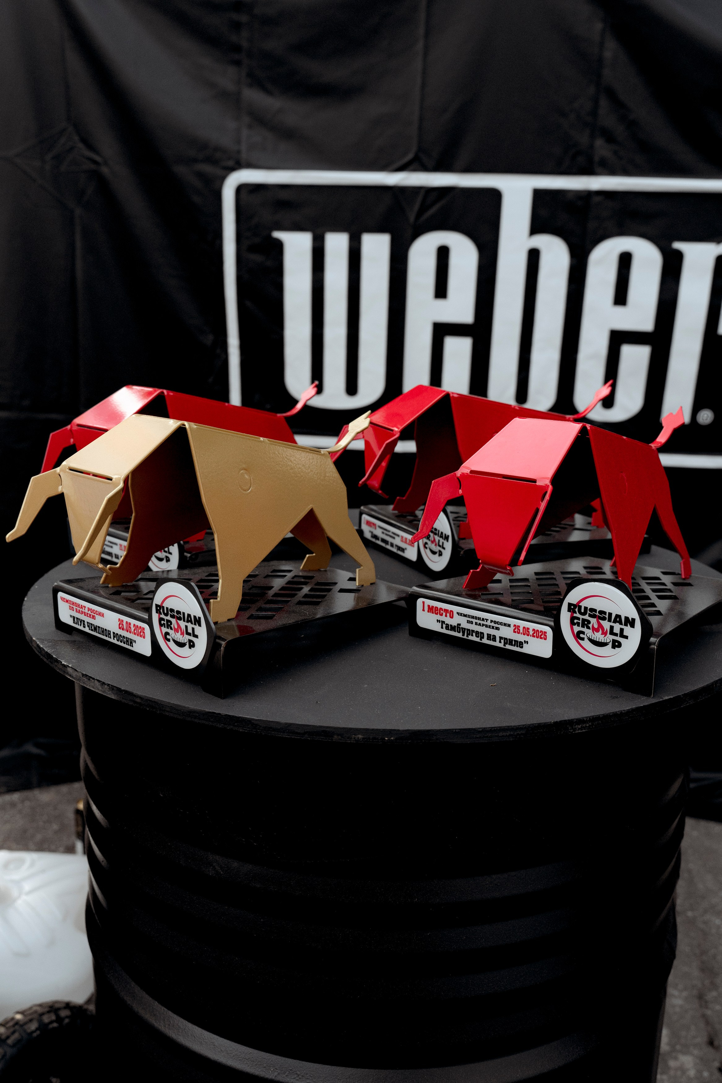 Гриль Фест 2025. Свадебный фотограф Москва