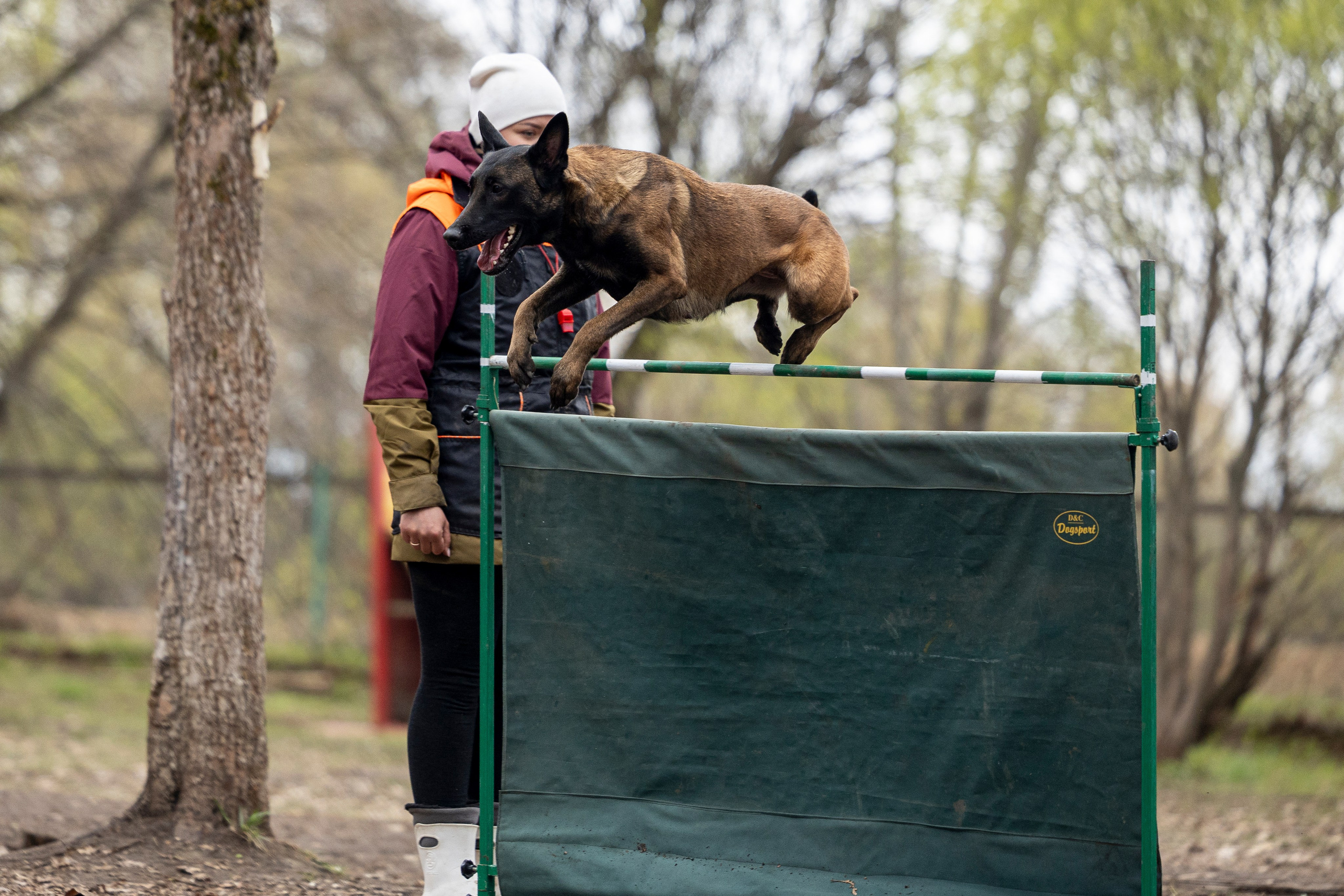 Квалификационные состязания по мондьорингу г. Вологда 11.05.24. Фотограф-анималист Анна Маринич