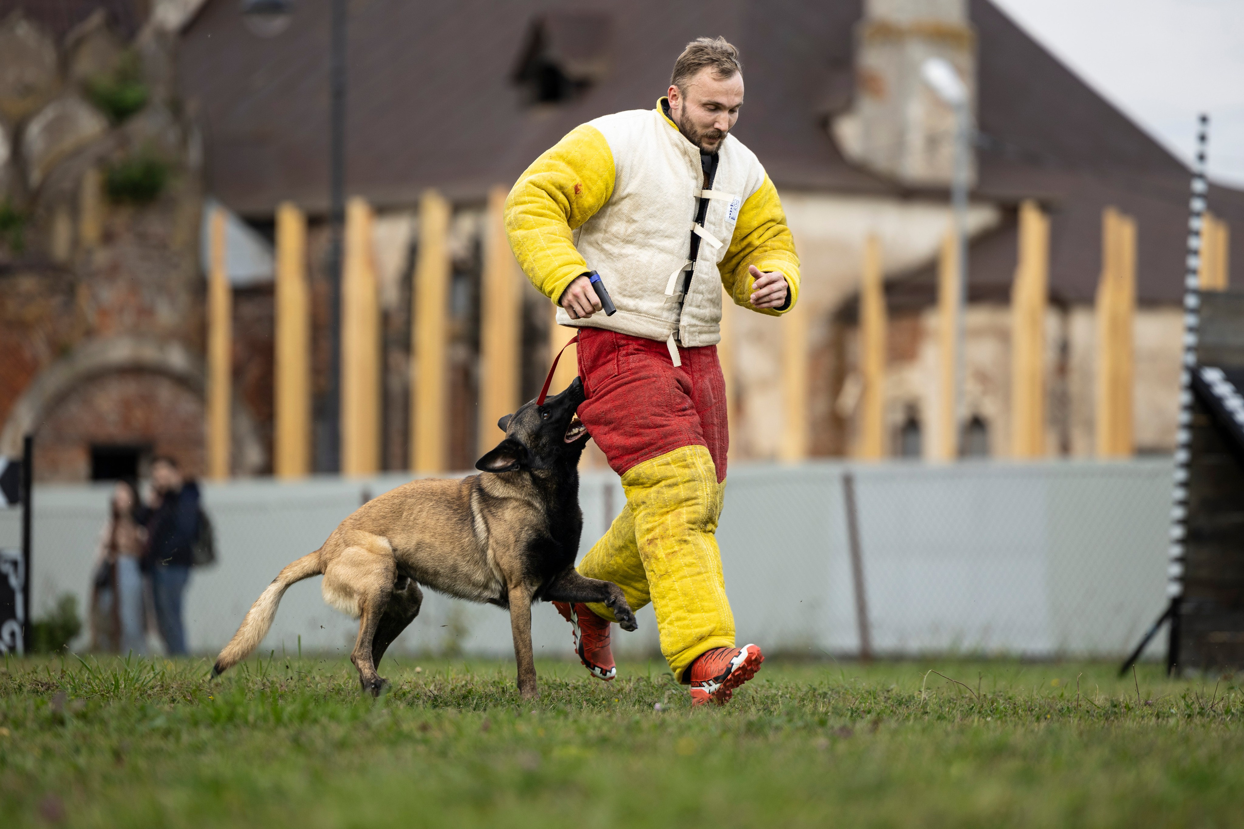 Испытания по Мондьорингу г. Пушкин. Фотограф-анималист Анна Маринич