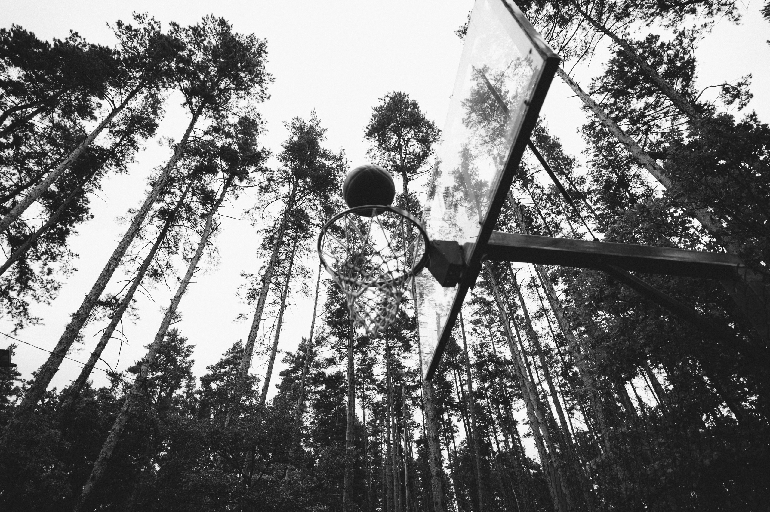 Настя + Дима. Свадебный фотограф в Тамбове Валерий Тихов