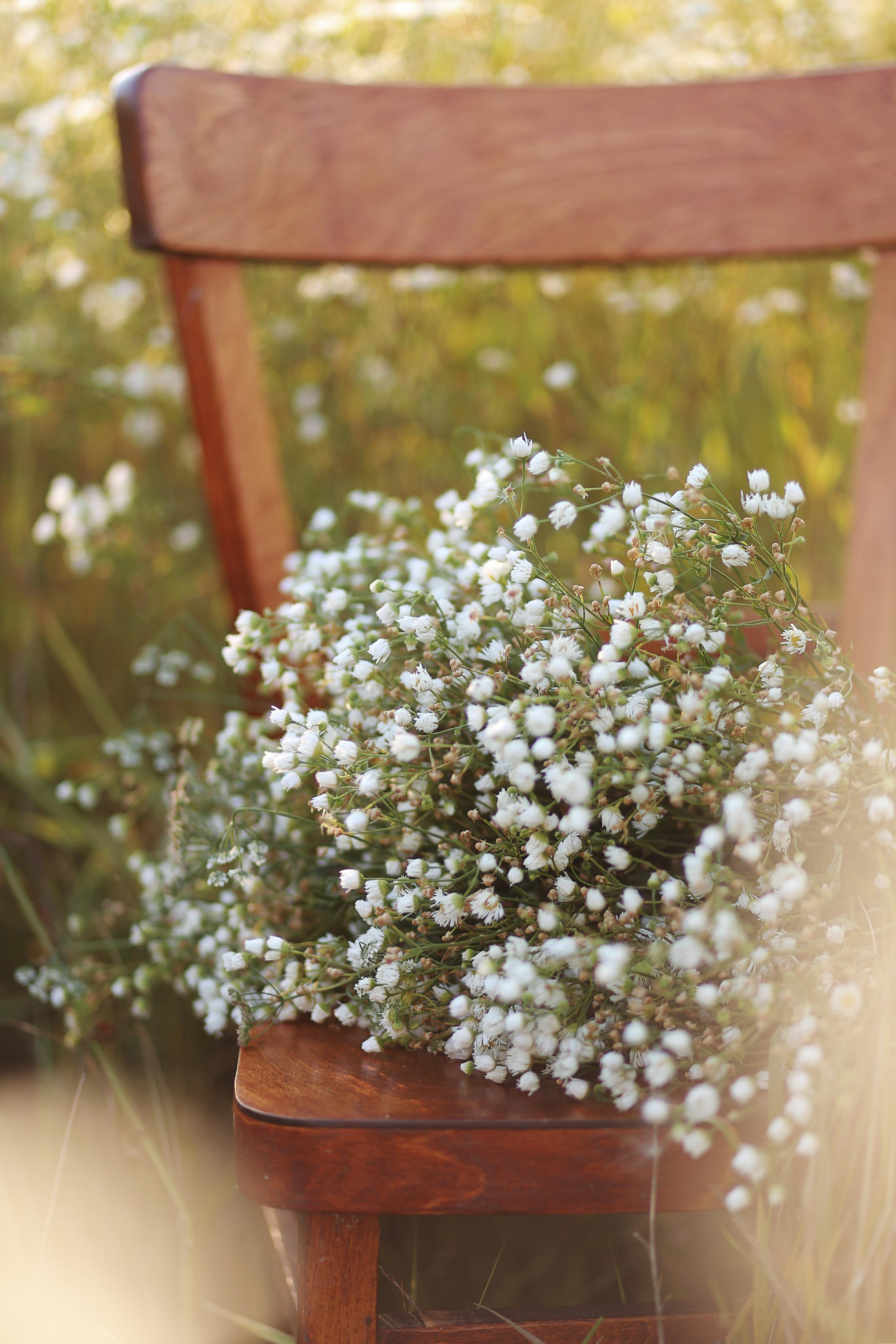 Дмитрий & Алина | Романтика в ромашках. Свадебный фотограф Краснодар Марина Зверева