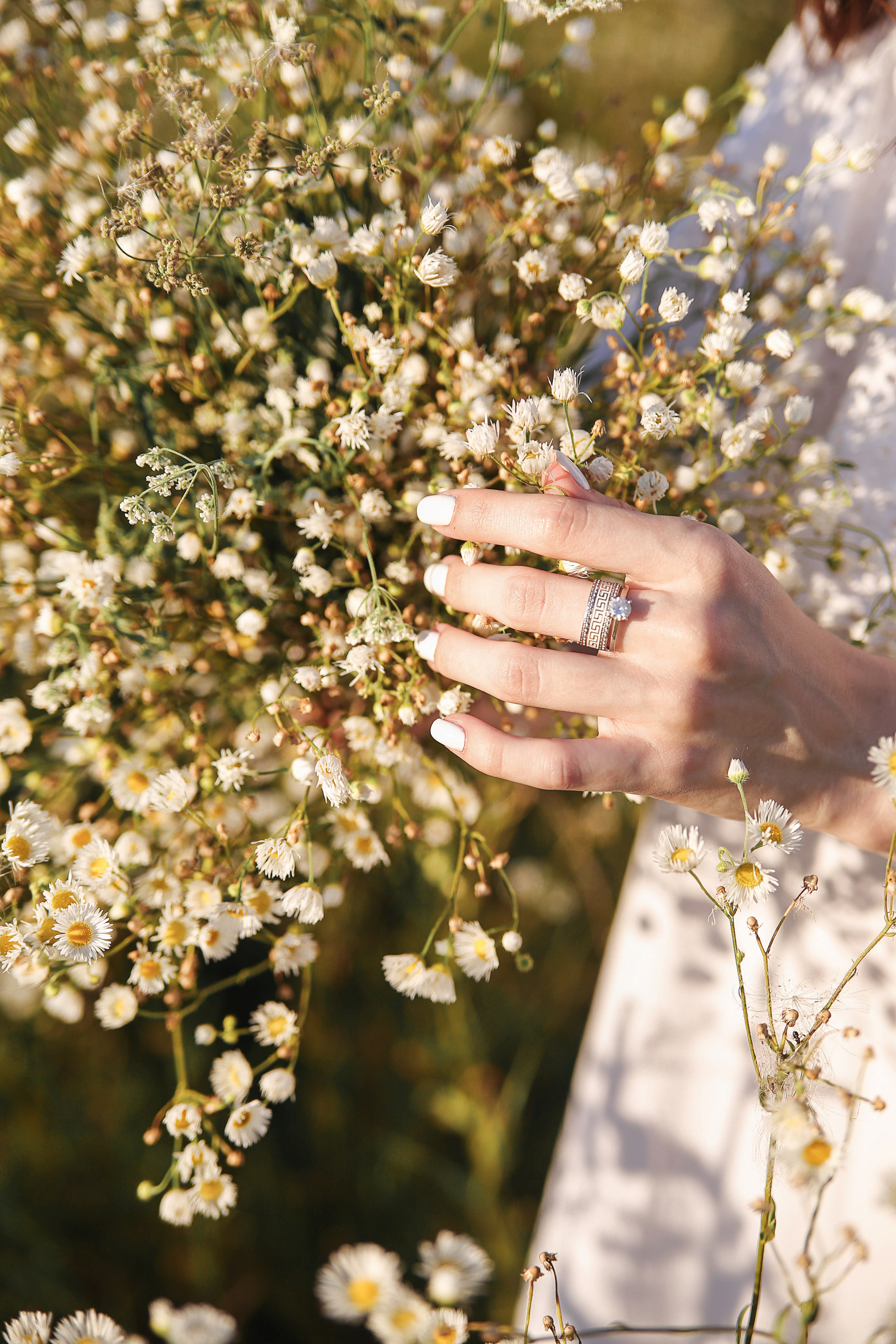 Дмитрий & Алина | Романтика в ромашках. Свадебный фотограф Краснодар Марина Зверева