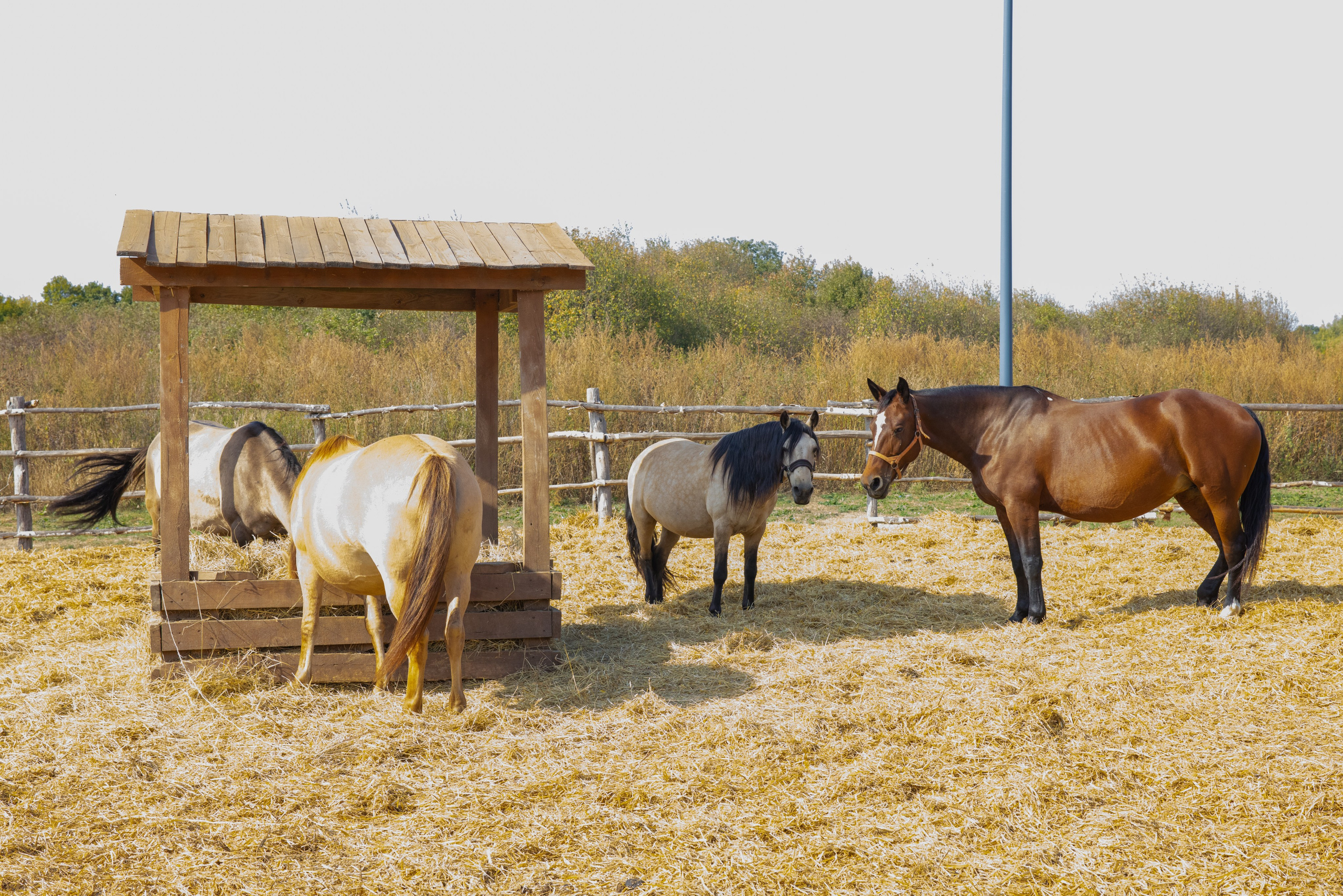 Поездка на поле Кулеково. Фотограф в Туле Крупский АнДРей. Фотостудия «КАДР71» в Туле