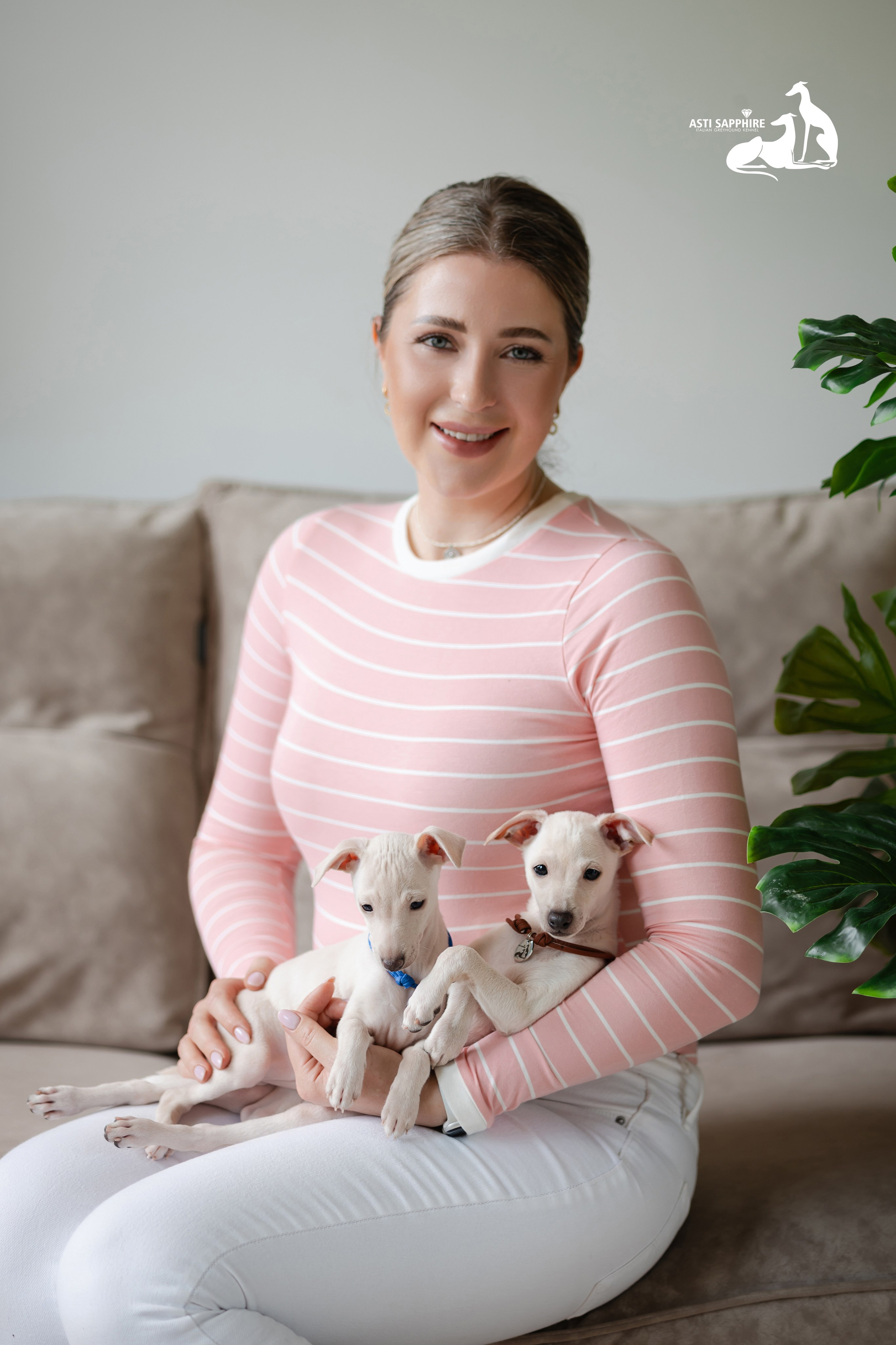 Белоснежные. Professional Italian Greyhound Kennel RKF/FCI ASTI SAPPHIRE 💎 Sochi|St. Petersburg