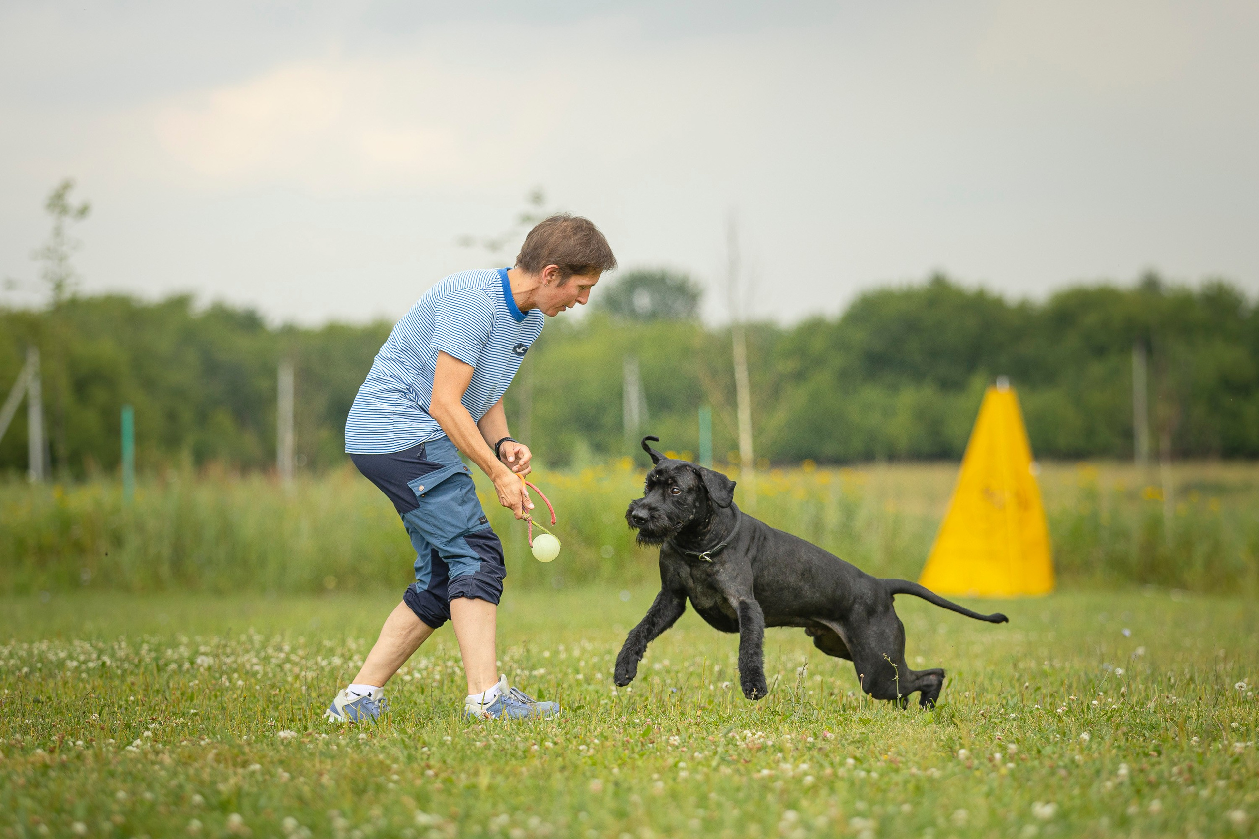 ЗКС. Фотограф анималист, семейный фотограф, фотограф собак Комратова Мария. г. Москва