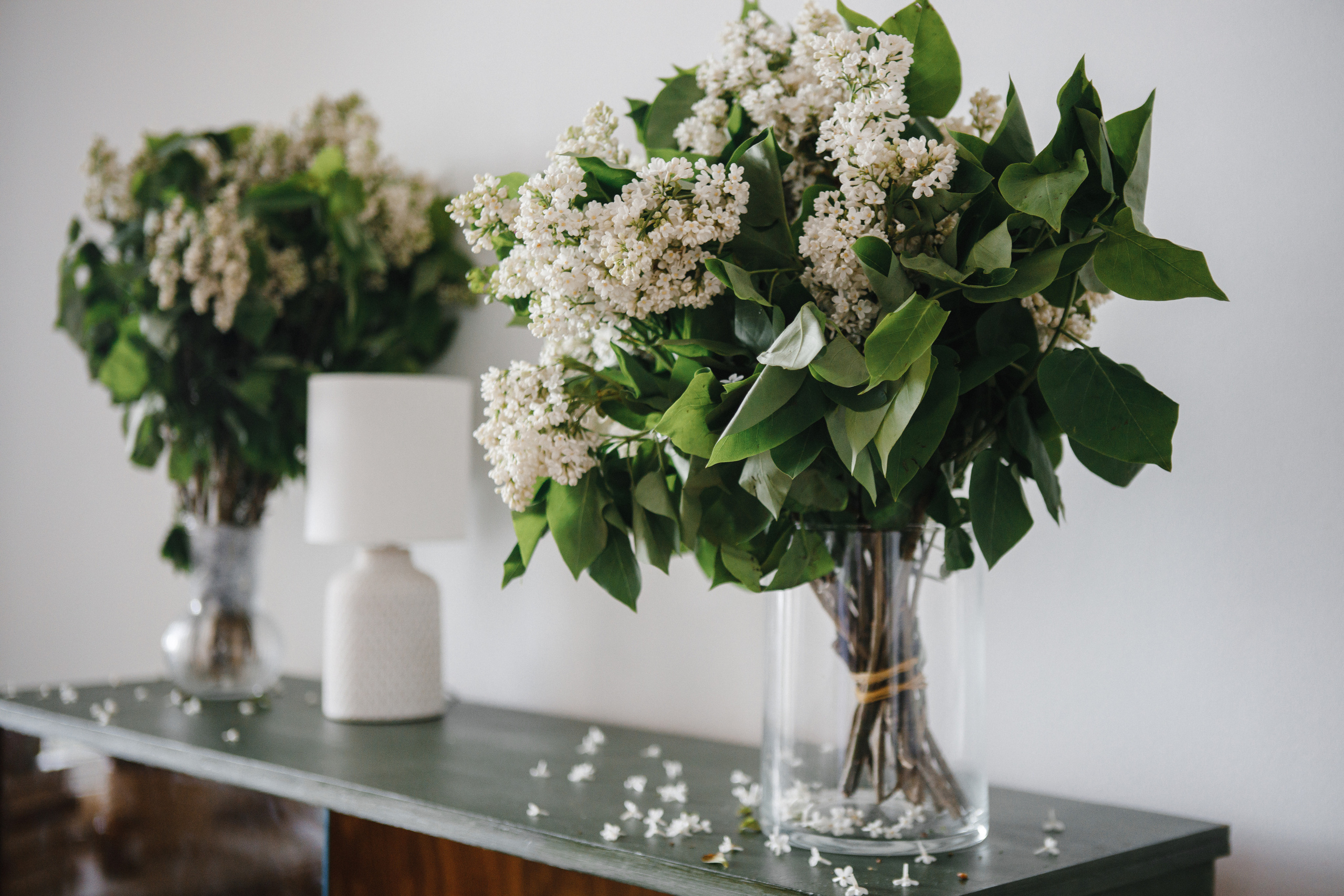V&A. Свадебный и семейный фотограф Чижова Алина