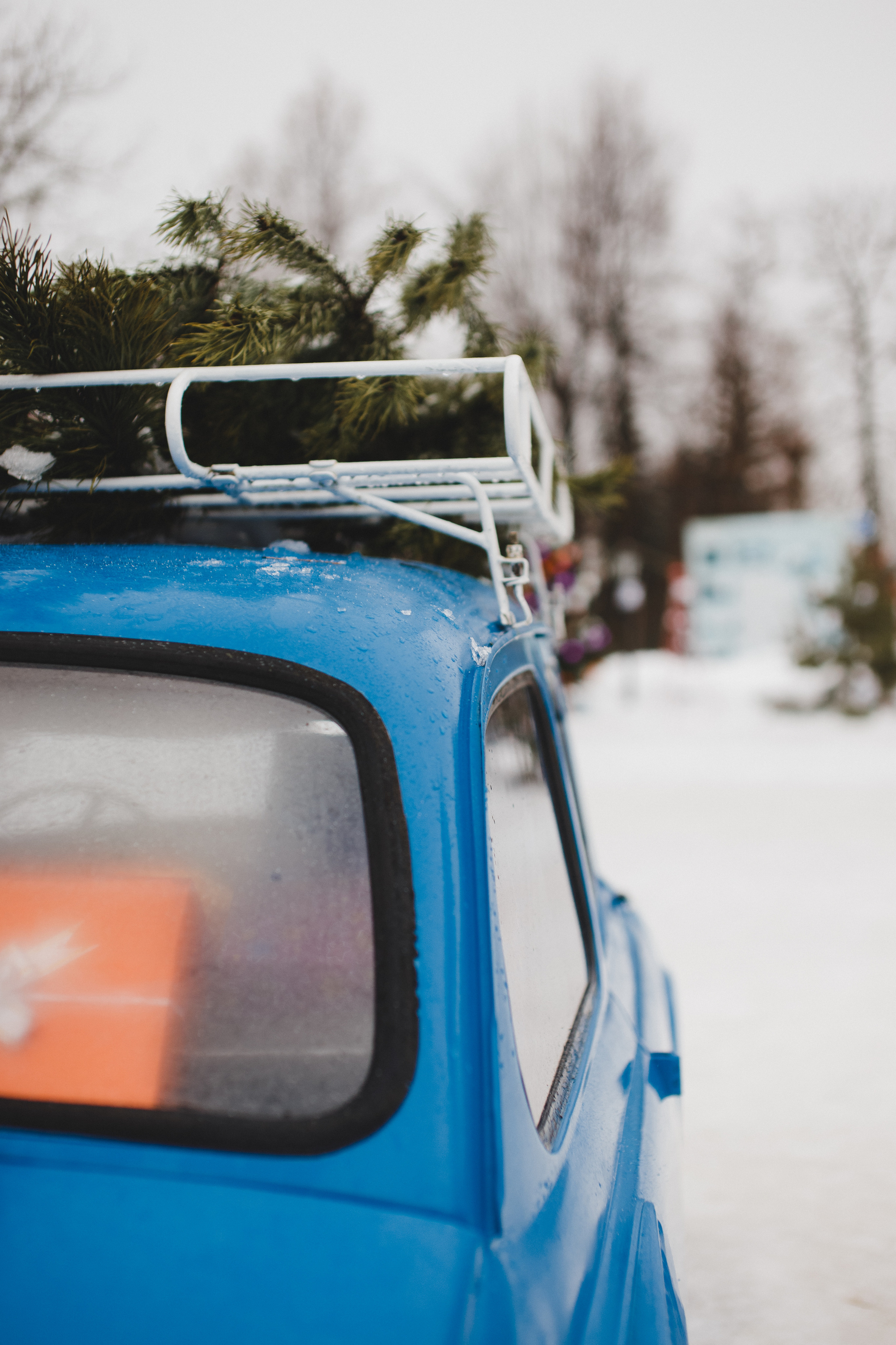 OLYA. Свадебный и семейный фотограф Чижова Алина