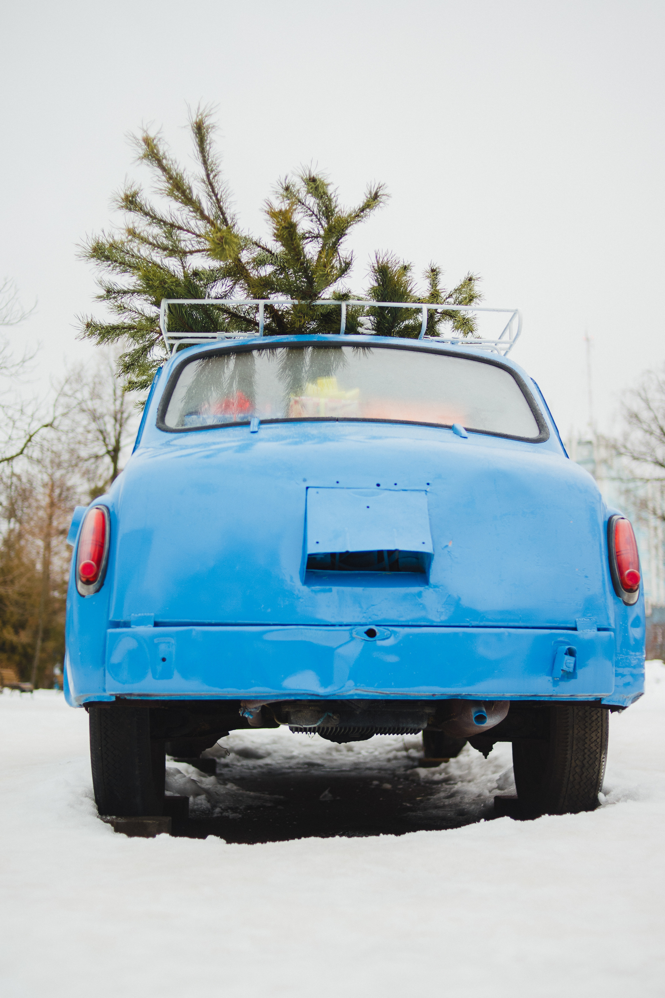 OLYA. Свадебный и семейный фотограф Чижова Алина