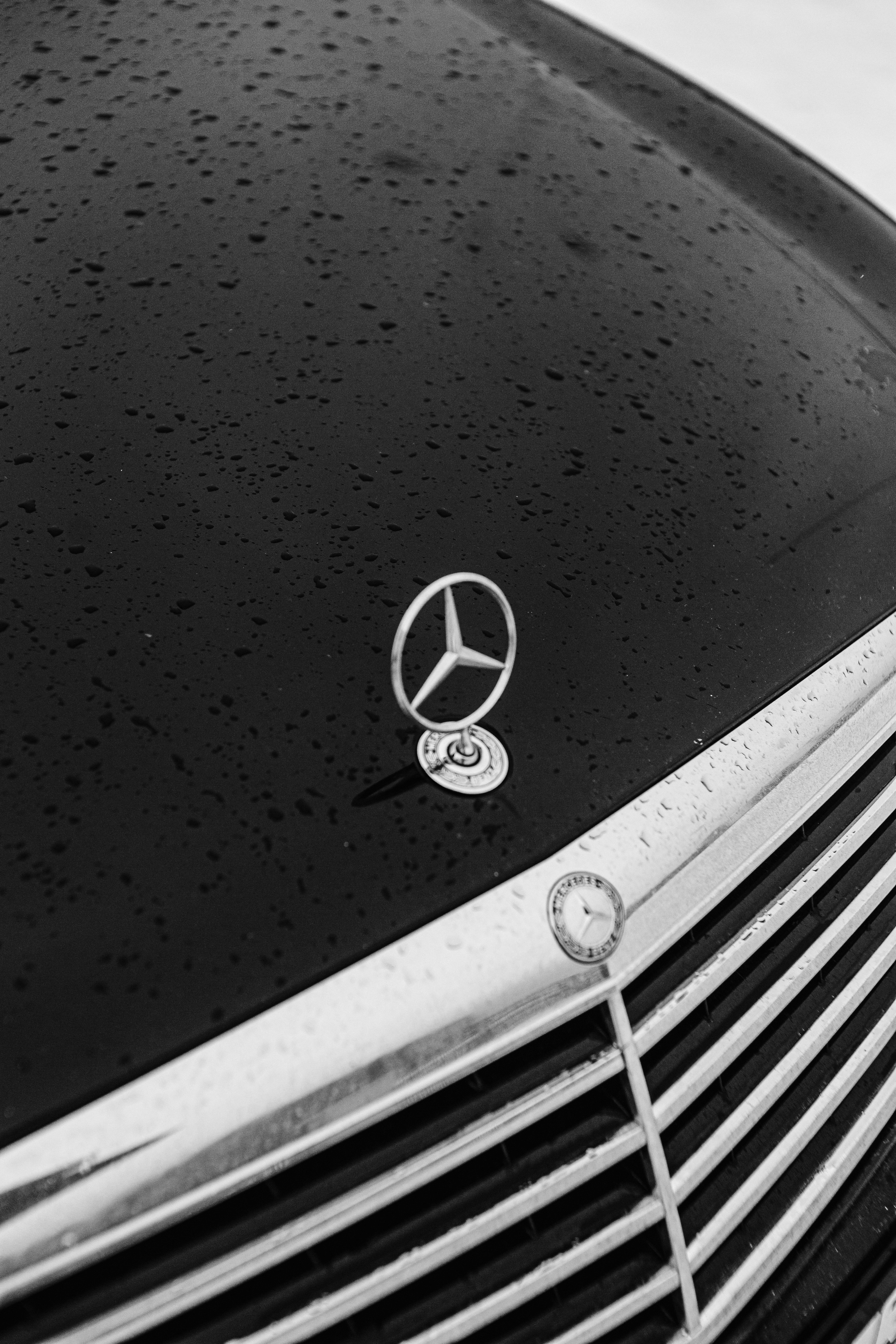 S&A. Свадебный и семейный фотограф Чижова Алина