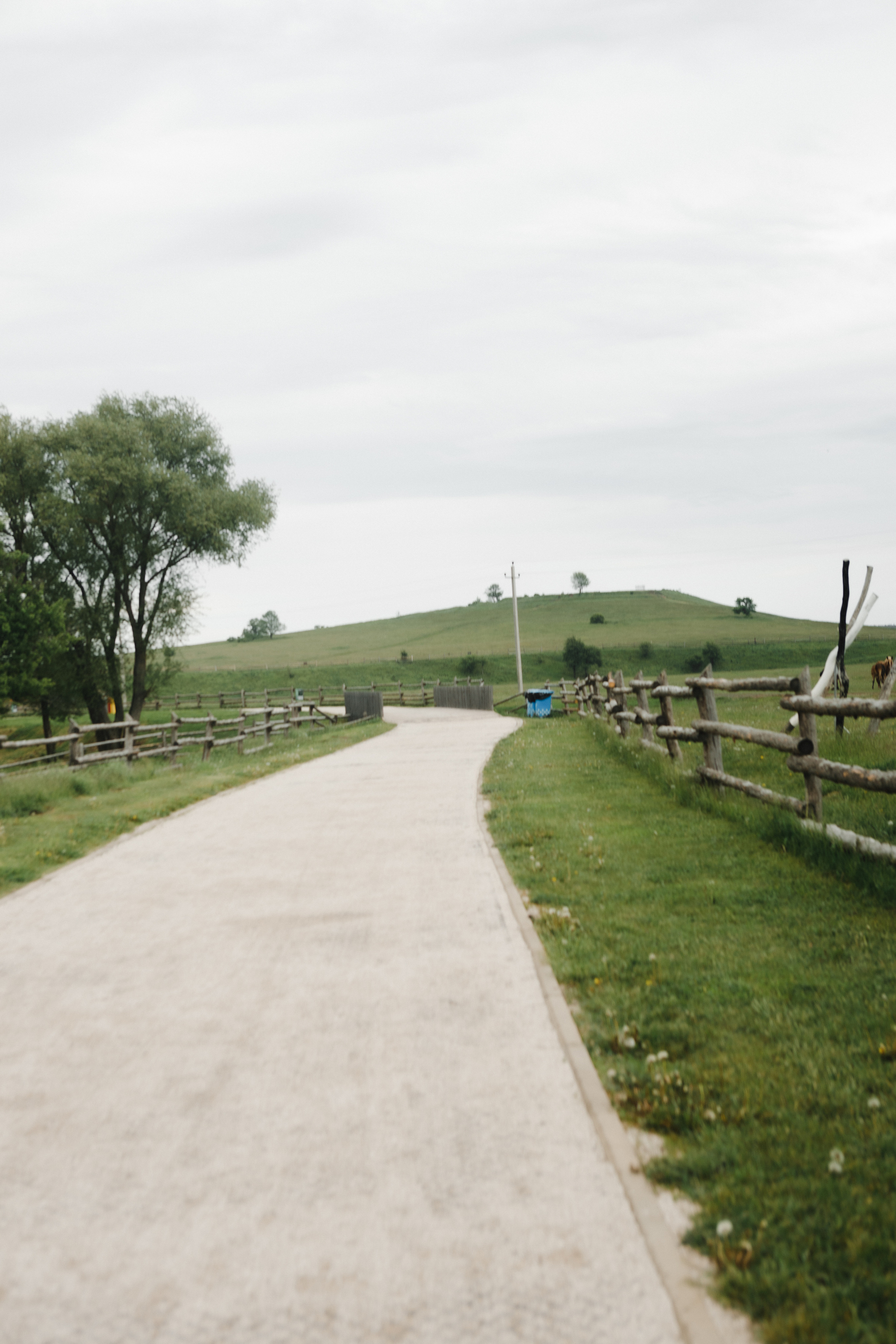 M&A. Свадебный и семейный фотограф Чижова Алина