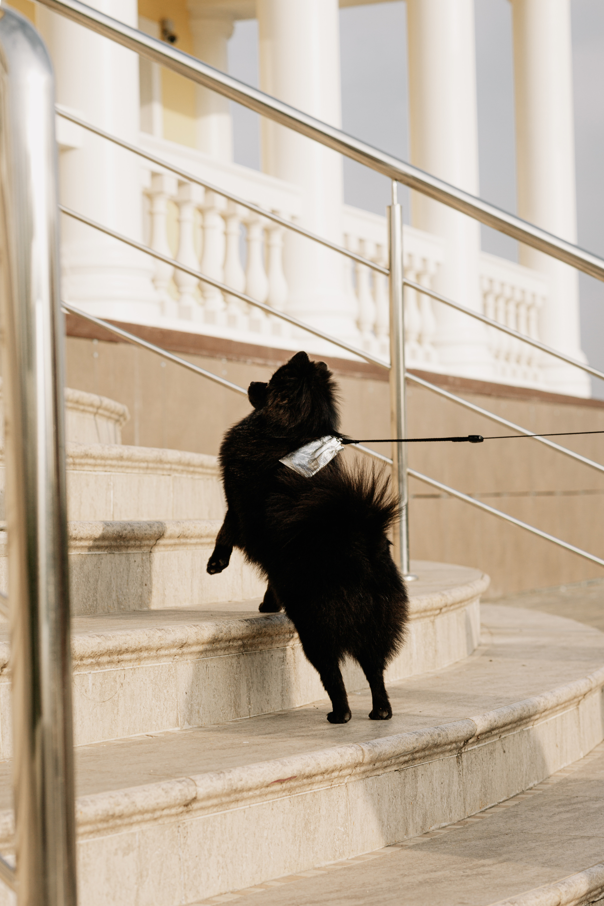 Y&S. Свадебный и семейный фотограф Чижова Алина